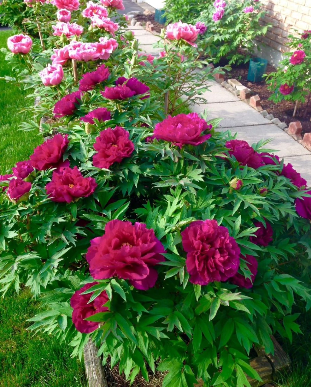 Ігор повернувся додому з роботу. – Боже, як же я втомився, – сказав чоловік сам до себе, як тільки зайшов в коридор. Чоловік пройшов на кухню і здивувався – на нього чекав святково накритий стіл. – У нас що, свято якесь? – здивовано запитав він у дружини. – Ні, звичайна вечеря, – усміхнулася Алла. – Сідай, поки все ще гаряче! Ігор слухняно сів за стіл, почав вечеряти. – Коханий, я б хотіла тобі ще дещо запропонувати, – обережно почала розмову Алла. – Запропонувати? Що саме? – запитав чоловік. Але Ігор навіть уявити не міг, який ще сюрприз, йому підготувала дружина.