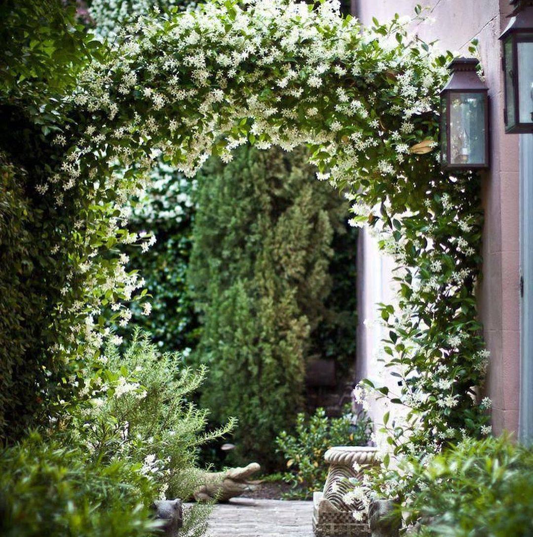 Ніна поїхала в село до батьків. Вона прополола грядки, зайшла в хату, лягла й задрімала. Крізь сон вона чула бурчання матері… – Виросла, матері не може допомогти! – казала та. – Все сама, все сама. Як так? Приїде, поїсть, і шукай вітра в полі. Спати вляглася. Жодної допомоги. Навіщо взагалі їздить?! Потім прийшов батько. У хаті запахло борщем і котлетками. – Буди її, – сказала мати. – Не заслужила, але нехай поїсть, бо ще перестане приїжджати. Треба ще дві грядки прополоти… – Навіщо ти так? – заступився батько. – Вона хороша дівчина. – Хороша тобі, але вона не моя! – раптом сказала мати. – Сам знаєш! Ніна аж прокинулася від почутого.
