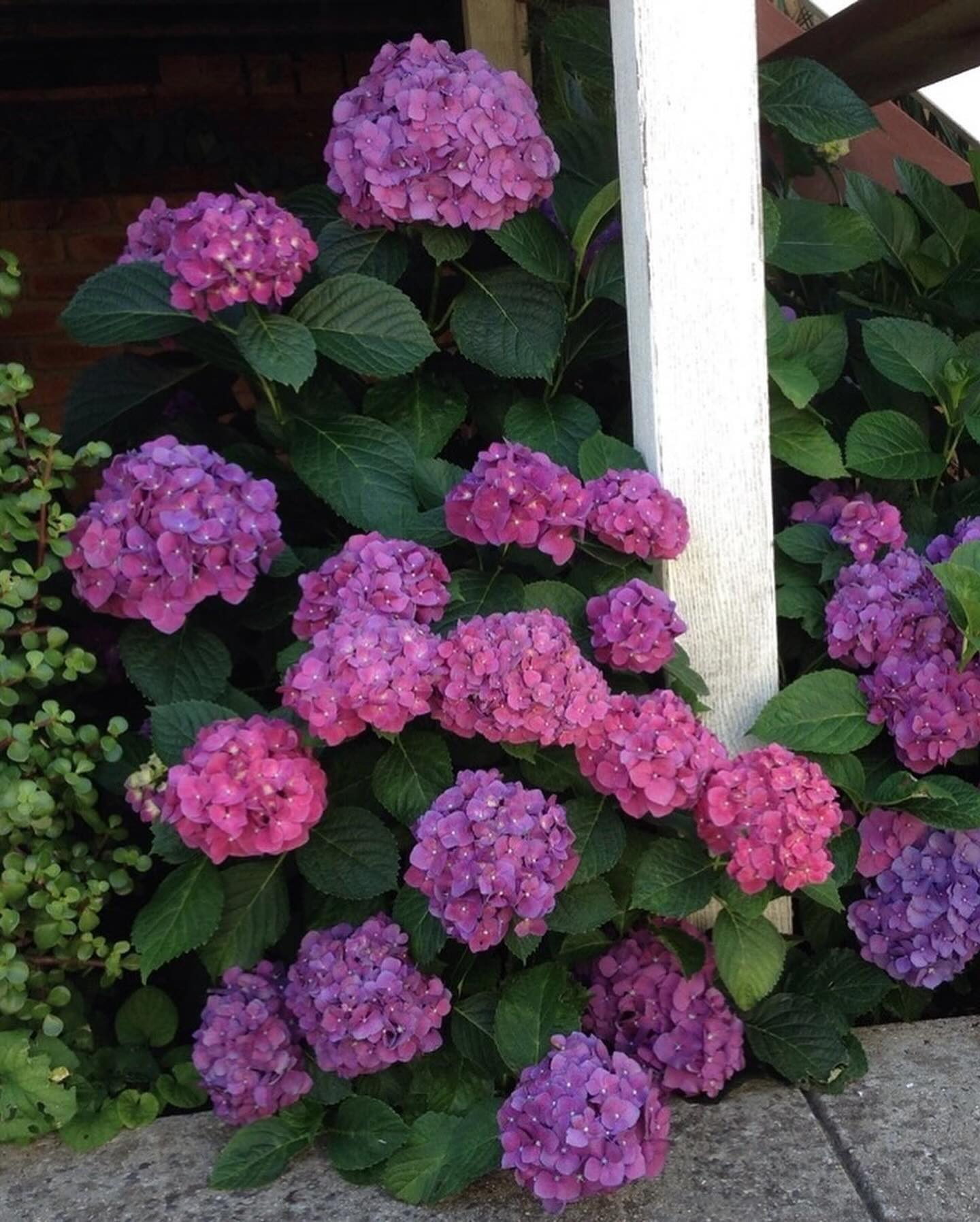 Олена сиділа на кухні, перебираючи документи. У двері подзвонили. На порозі з’явилися свекруха та свекор. – Привіт, Олено, – привіталася Галина Іванівна. – Ми у гості! – Доброго дня, проходьте. Я зараз чай зроблю, – сказала Олена, проводячи «гостей» на кухню. – Не треба чаю, – відмахнулася свекруха. – У нас до тебе серйозна розмова. – Щось сталося? – захвилювалася Олена. – І так, і ні! – якось дивно відповів свекор. – Розповідайте все, допоможу чим зможу, – підсумувала Олена. Свекруха з свекром переглянулися між собою, а потім майже одночасно виклали своє прохання невістці. Олена вислухала свекрів і… остовпіла від почутого.