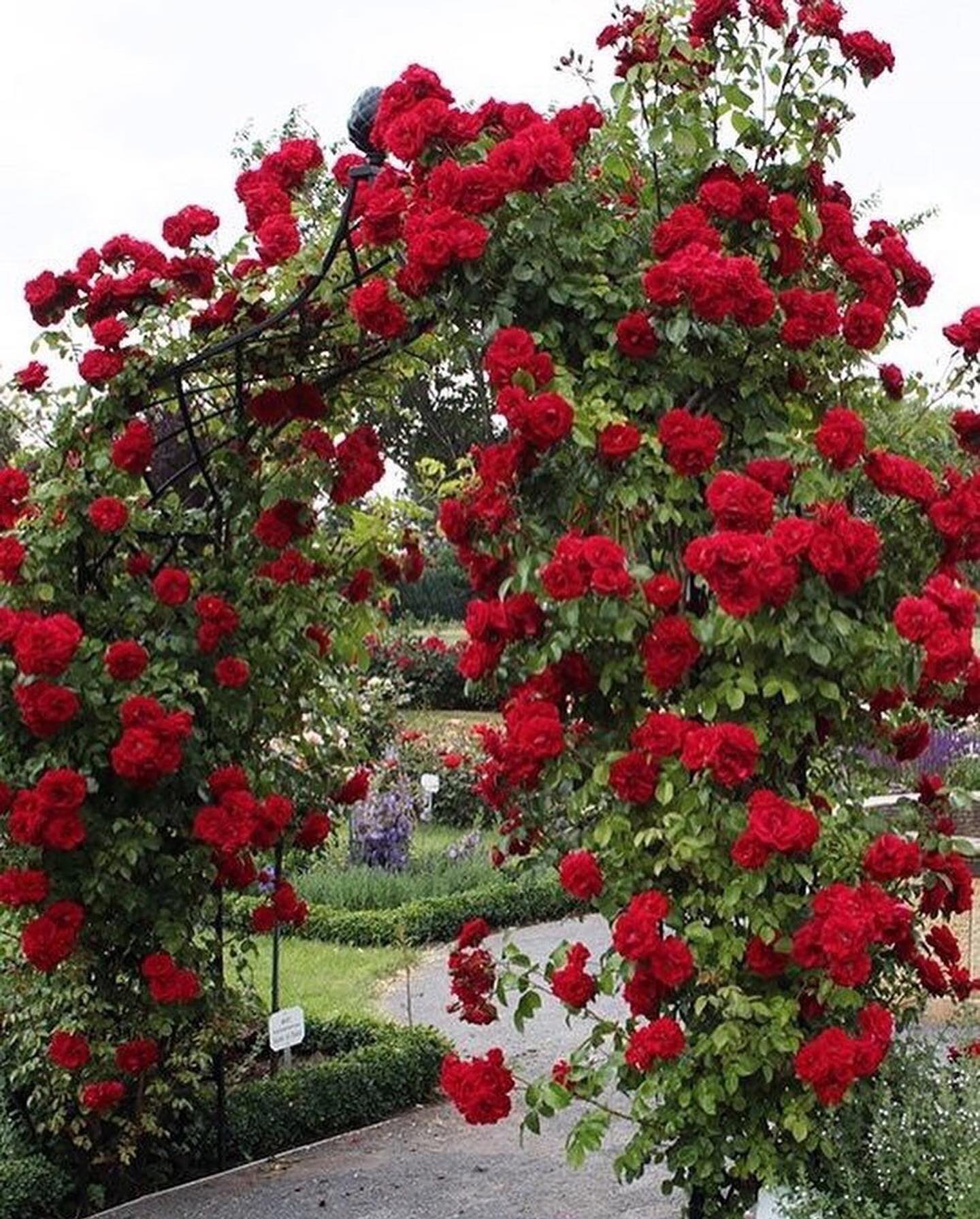 Я вийшла заміж за Ігоря у 50 років, це був мій другий шлюб. У нас все було добре, поки в наше життя не стали втручатися його діти. Нині я стою перед складним вибором.