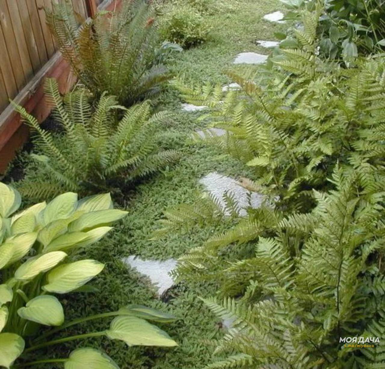 Чужі в одній квартирі