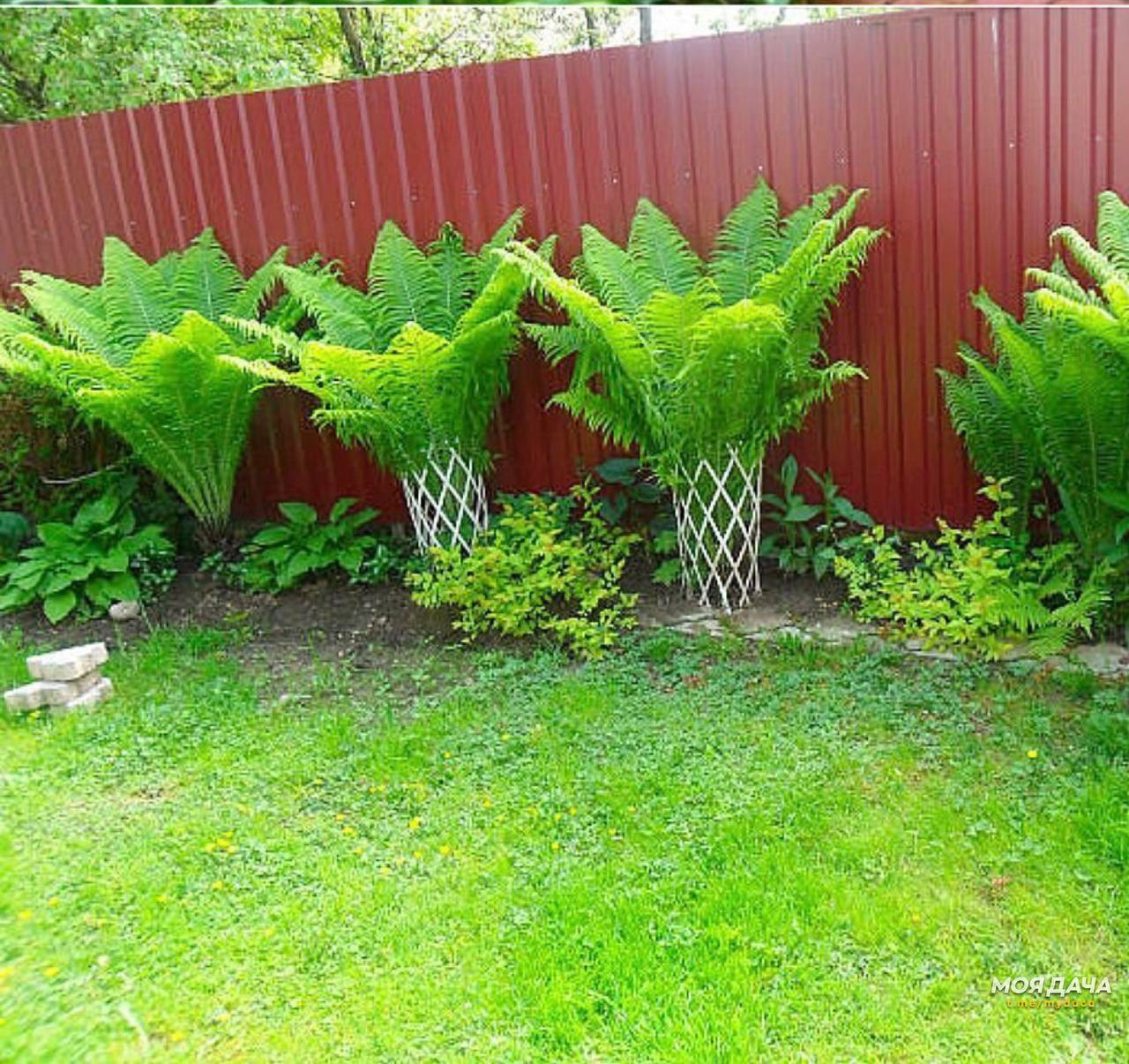 Коли діти забувають про матір