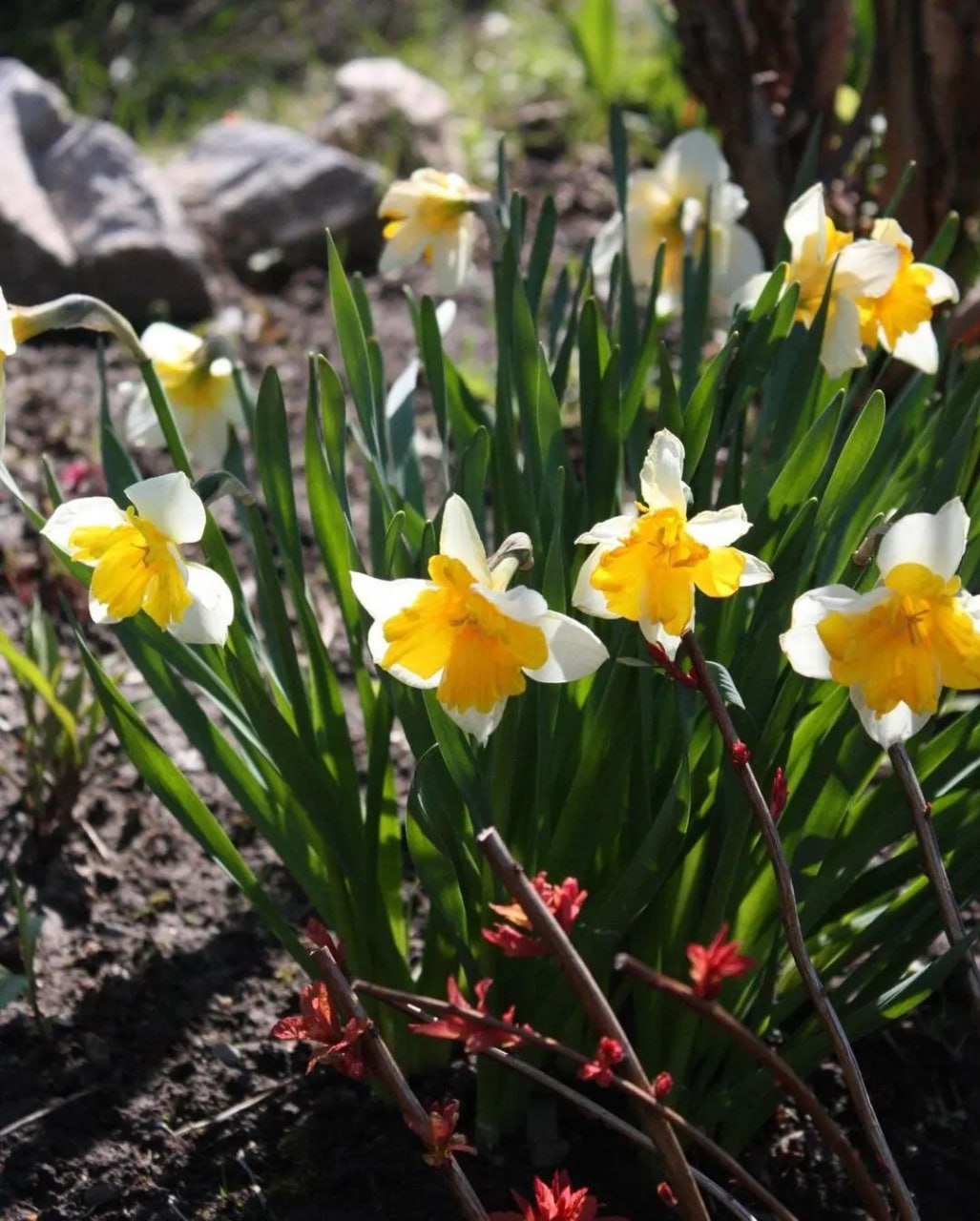 Я дуже сподівалася, що мій другий шлюб складеться, адже я вважала себе вже зрілою жінкою, бо було мені тоді тридцять п’ять років і я не так хотіла кохання, як хотіла родину і дітей
