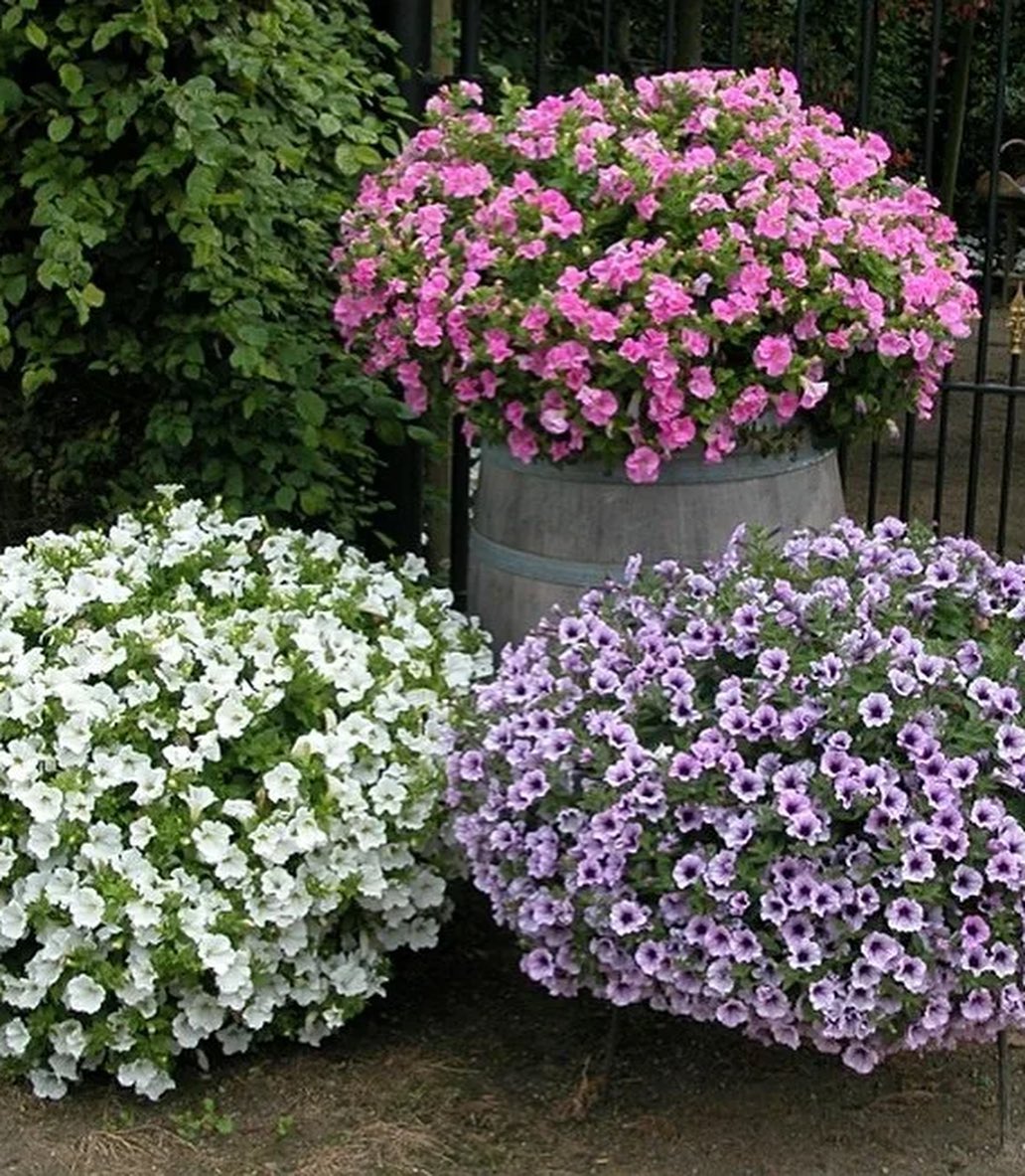 Катя закінчила університет, і повернулася до рідного міста. Дівчина одразу приїхала до батьків. – Ну, і які плани далі? – з усмішкою поцікавився батько. – Мені запропонували хороше місце, на одному з наших місцевих підприємств, – повідомила Катя. – Ну, а жити буду у бабусиній квартирі, яку вона мені залишила. Раптом, Катя помітила, як батько змінився на обличчі, після її слів. – Тату, щось сталося? – захвилювалася донька. – Доню, щодо бабусиної квартири… Не вийде тобі там жити, – якось дивно сказав чоловік. – В сенсі не вийде? Чому? – Катя здивовано дивилася на батька, не розуміючи, що відбувається.