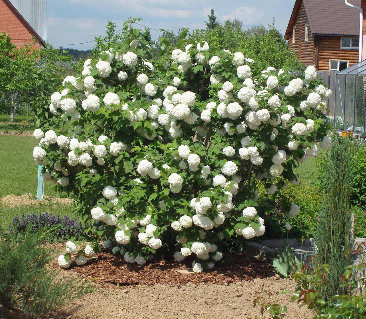 Тетяна була на роботі, коли у її кабінет зайшла колега. – Таню, привіт. Тебе шеф викликає, – сказала вона, і швидко закрила двері. Таня підвелася з свого робочого місця, вийшла в коридор, і попрямувала до кабінету директора. – Чому він мене викликає? – дивувалася жінка. Раптом, проходячи кімнату для відпочинку, Тетяна почула якусь розмову своїх колег. – Це що, вони про мене розмовляють? – здивувалася Таня, почувши своє прізвище. Тетяна зупинилася, підійшла ближче до прочинених дверей, прислухалася до розмови колег і…застигла від почутого.