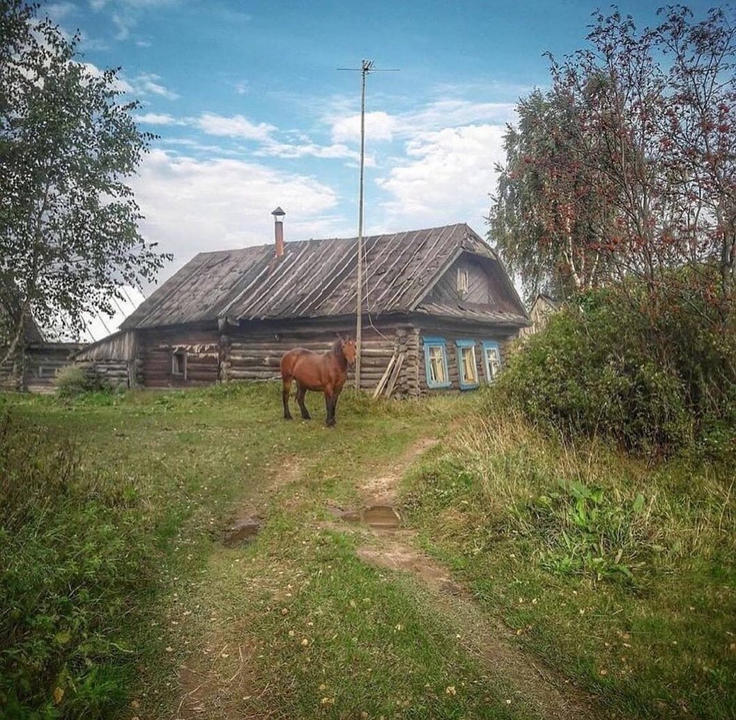 Ольга тільки-но провела чоловіка на роботу. Раптом, на кухню, зайшов їхній двадцятитрирічний син Олег. – Мамо, – сказав він, сідаючи за стіл. – Мені треба з тобою поговорити. – Зі мною? Може, почекаємо тата і поговоримо разом? – запропонувала Ольга. – Я вирішив спочатку тобі повідомити цю новину. Я одружуватися хочу! – усміхнувся Олег. – І які проблеми? Ти доросла людина, якщо вирішив одружитися – одружуйся, – відповіла мати. – Але це ще не все…, – якось підозріло додав Олег, і зам’явся, збираючись з думками. – Є якісь інші «сюрпризи»? – захвилювалася мама. Але Ольга навіть уявити не могла, що їй повідомить син.