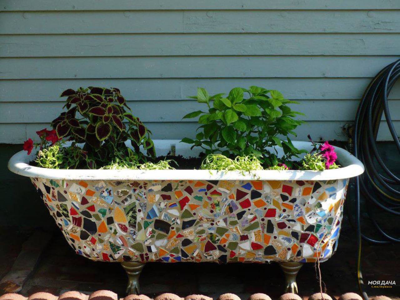 Валентина поралася на дачі, прополола город, зібрала помідори. За справами не помітила, як настав вечір. – Зараз перекусити, випити чаю, і можна відпочивати, – усміхнулася вона сама собі і пішла готувати вечерю. Тільки-но жінка ввімкнула плиту, як раптом на телефон прийшло якесь сповіщення. Валентина взяла телефон зі столу, і побачила, що на її електронну пошту надіслали якесь відео. – Цікаво-цікаво, – промовила жінка і відкрила відеозапис. Валентина швидко переглянула це відео і… Остовпіла від побаченого.