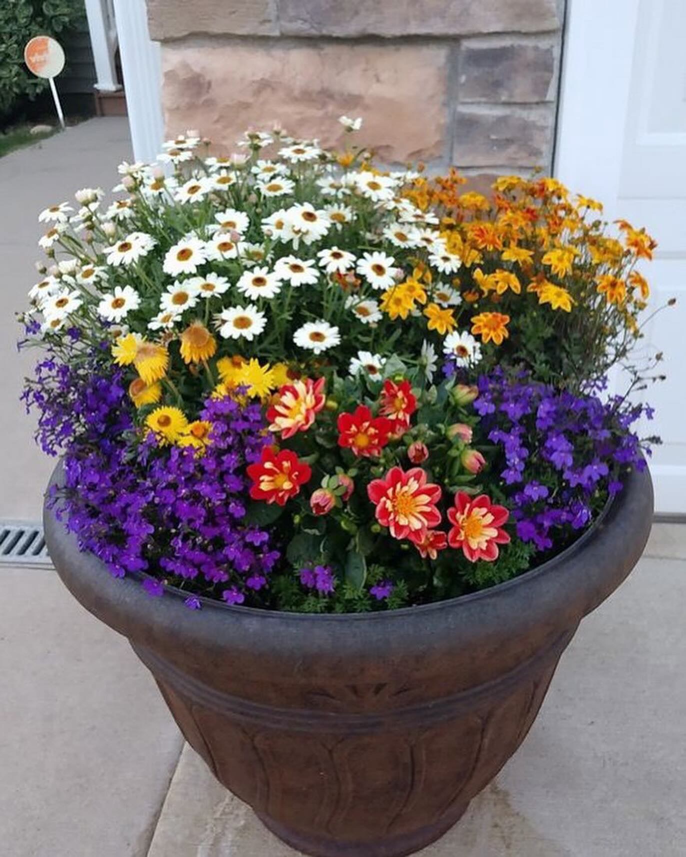 Іванко прокинувся від галасу. Він почув якісь дивні звуки й біганину за стіною. Хлопець встав і, сонно хмурячись, пішов до батьків… Мама сиділа на зім’ятому ліжку, тримаючи руки на попереку, й похитувалася туди-сюди, як маятник. Батько бігав по кімнаті, збираючи якісь речі. – Головне папку з документами не забудь, – ледь сказала мама, прикривши очі. – Мамо, – покликав Іванко, відразу прокинувшись і пройнявшись загальним хвилюванням. Він не міг зрозуміти, що це таке робиться.