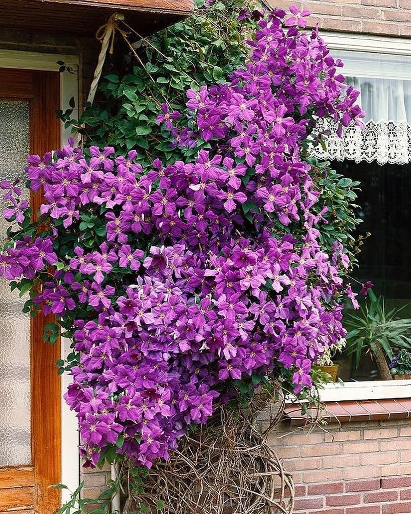 Треба жити для себе