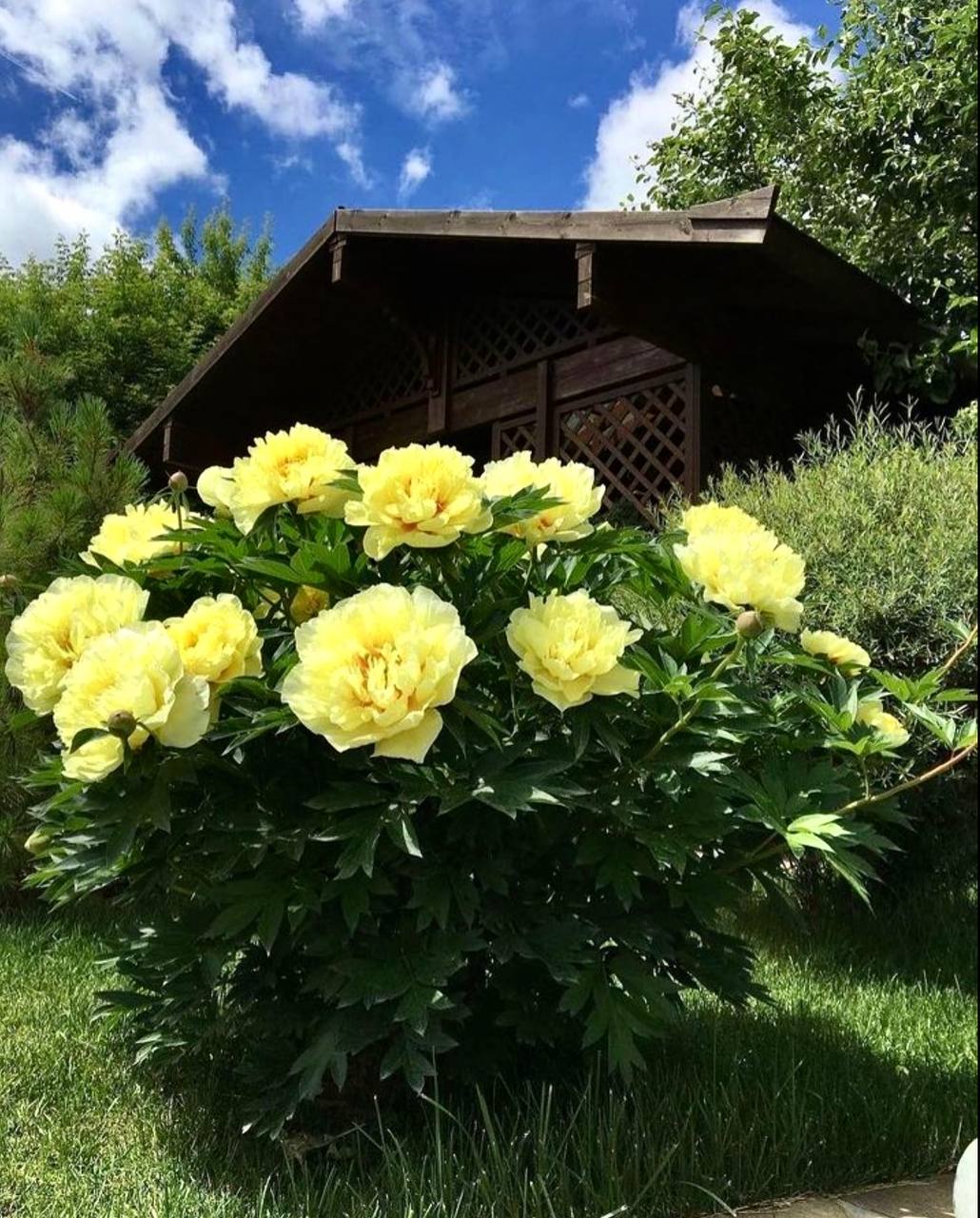 Олена поверталася додому від коханця. Жінка глянула на годинник. – Ого, скоро північ! – подумала вона. – Мій Андрійко давно вже спить. Навіть не спитає, де я була. А мене це влаштовує! Завтра вранці все йому скажу, а потім піду до матері. Розійдемося! Набридло так жити… Олена відкрила двері. Вдома була тиша. На кухні на столі лежить якась записка… «Олено, вечеря в мікрохвильовці. Я в сестри, вона занедужала. Доброї ночі…» – писав Андрій. Олена вже збиралася лягати спати, як раптом побачила якусь синю папку. Жінка відкрила її й побачила якісь документи. Читаючи їх, Олена зрозуміла несподіване…