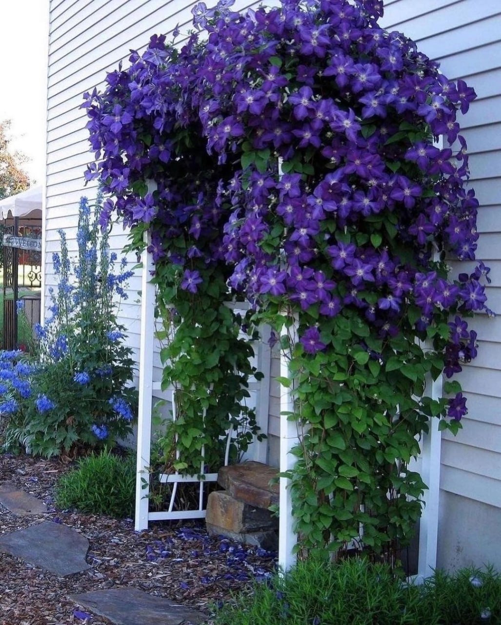 — Як незнайомі? Я вже рік на тебе подивитися в кулінарію ходжу. І яка ж ти жінка справна, соковита, молода й красива, Надю! Я милуватися ходив, як ти працюєш, і не міг намилуватися. Кожному в тебе слово добре є, нікого не образила, не обдурила, а старим людям інший раз і трохи більше давала, я помітив. Мені здається, що я вже давно тебе знаю, та й ти мене теж. — Добре, Толю, давай зайдемо, а то я й справді замерзла і вся промокла, – погодилася Надя. Вони піднялися до нього у квартиру