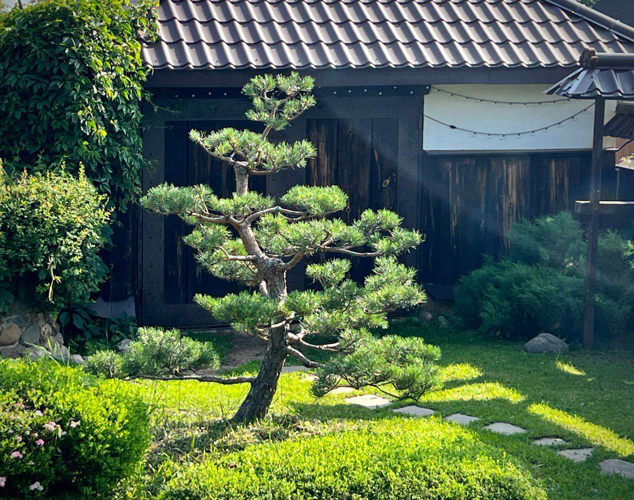 Катя готувала вечерю, коли з роботи повернулася мама. – Привіт, – привіталася вона з донькою, і сіла за кухонний стіл. – Перевіряла у братів уроки? Все зробили? – Якраз зараз займаються уроками, – відповіла донька. – Ну хоч з цим добре, – додала Галина Василівна. – Мамо, – раптом сказала Катерина. – У мене для тебе новина! Ігор зробим мені пропозицію! Я виходжу заміж! Галина Василівна застигла. – Навіть думати не смій про заміжжя! Я не дозволю тобі вийти заміж! – несподівано вигукнула мати. – Мамо, але чому?! Чому ти так кажеш?! – Катерина здивовано дивилася на маму, не розуміючи, що відбувається.