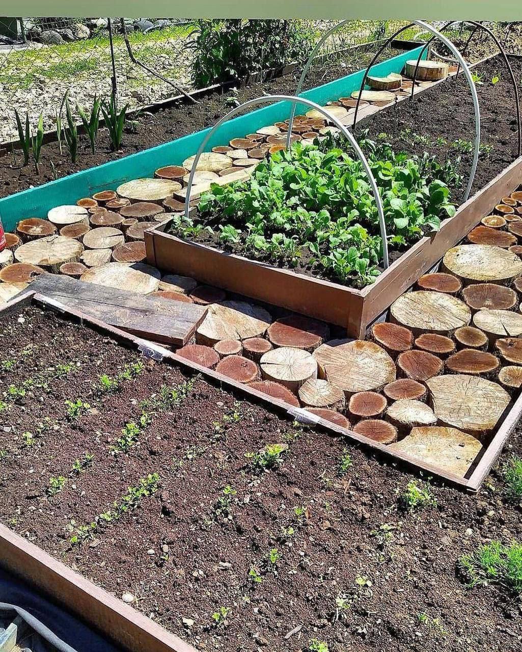 – Сидить вона тут, чаї ганяє… Хоч би скоріше богу душу віддала, слово честі! Чого тягнути гуму! Все одно толку від тебе немає, – повітря коптиш і метри займаєш… – бурчала невістка