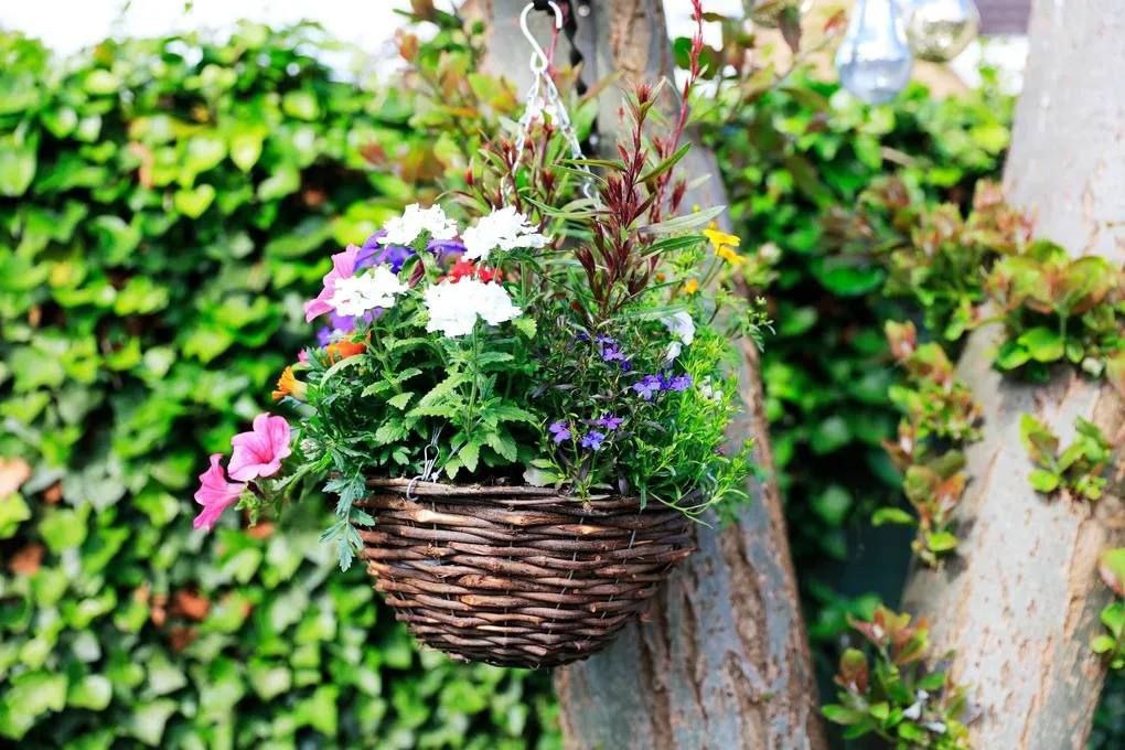 — Поки мій син на роботі спину гне, і гроші такою важкою працею заробляє, ти їх на вітер спускаєш, – злилася Галина. — Яким саме чином я їх спускаю, і що знову не так? – не розуміла Наталка. – Я не скуповую купу речей, не відвідую розважальні заклади, і взагалі, я теж гроші заробляю. — Ну звичайно, тільки твоєї зарплати на гречку і соняшникову олію ледве вистачить, – злилася пенсіонерка. – А на гроші Михайла ти закуповуєш червону рибу, ікру і креветки