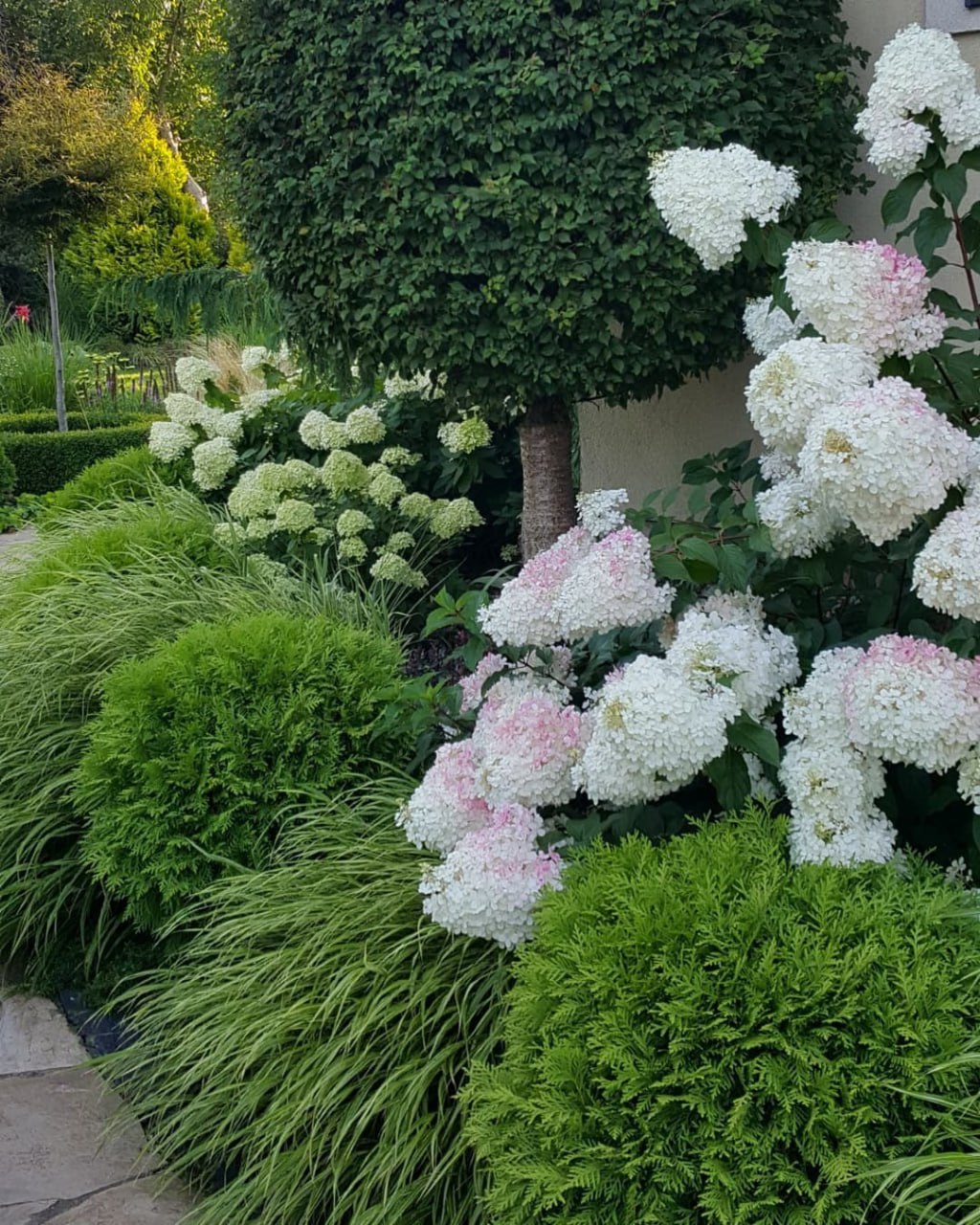 Замість щастя вона отримала розлучення, замість міцних сімейних уз вона залишилася сама