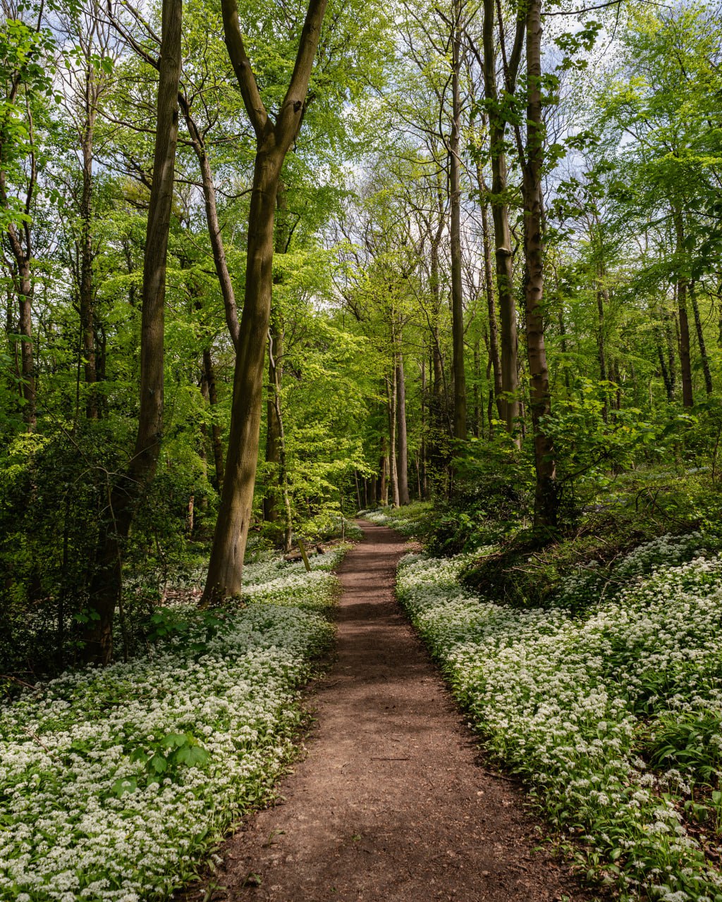 — До хати пустиш? – тільки й запитала сестра. І не чекаючи дозволу, взяла дитину за руку і стрімким кроком пройшла всередину. Поки Аліса намагалася заварити чай, Юлька її роздивлялася з-під лоба