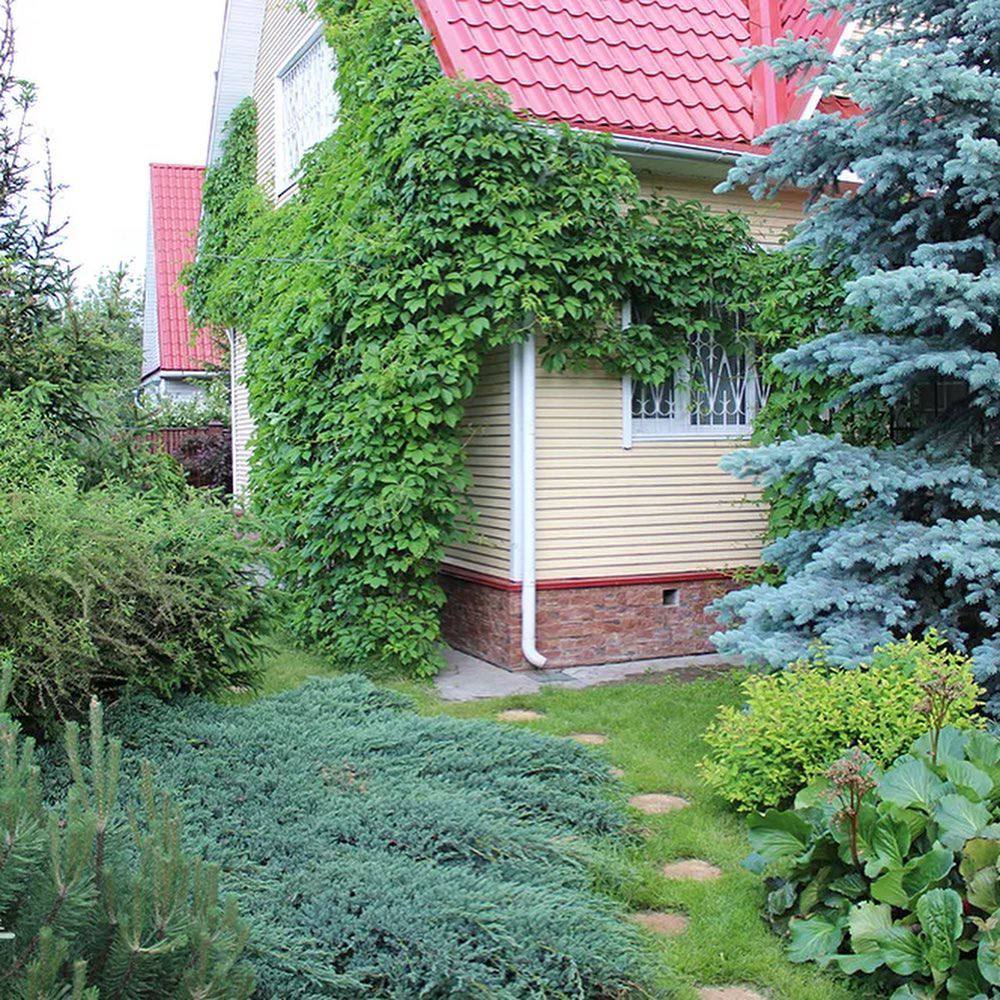 – Мама переписує свою частку на мене, Артем – теж. Тож у тебе залишається тільки чверть. І можеш не метушитися – я вже знаю, що ти пообіцяв свою частину дітям Аліси