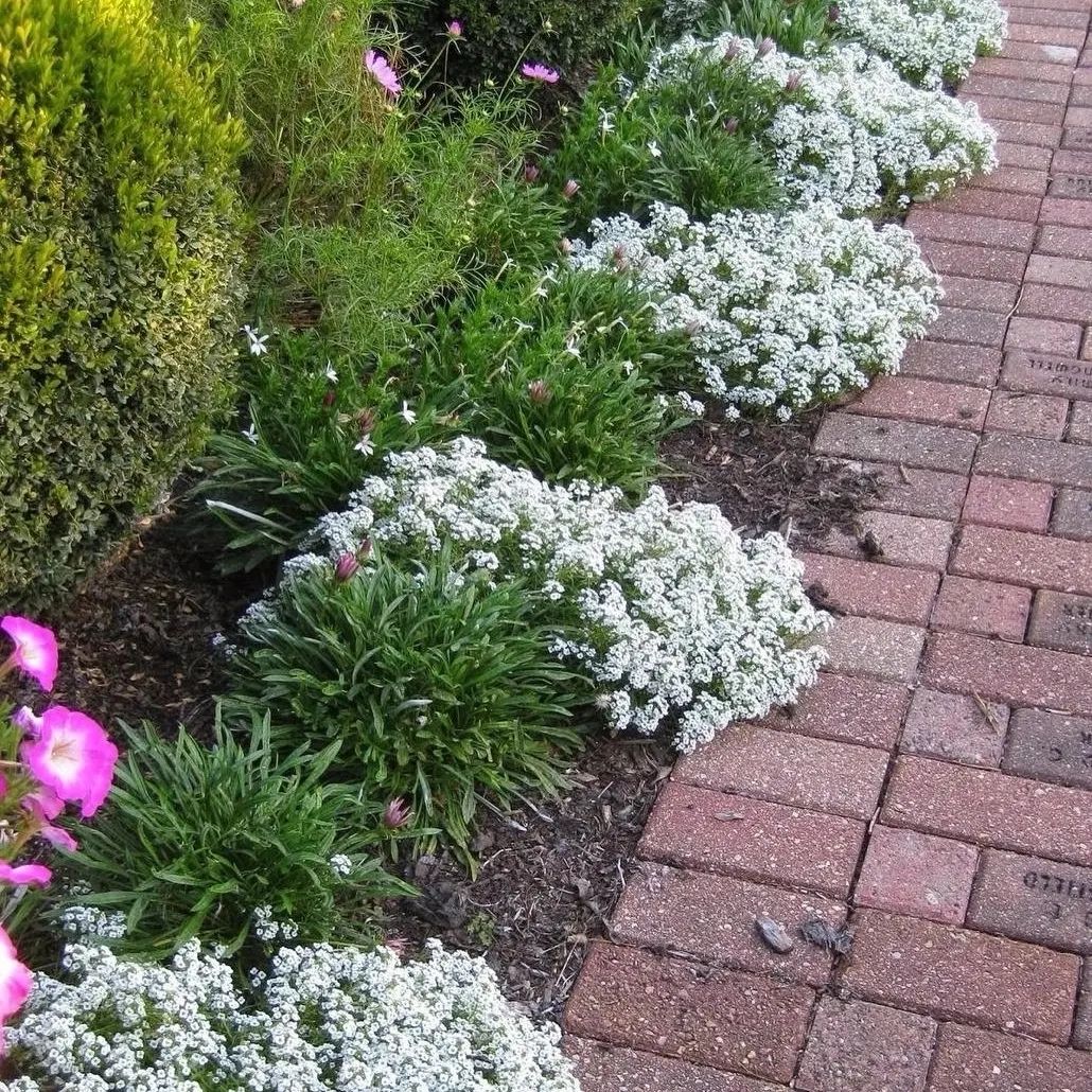 В Ірини залишилася лише одна близька людина, з якою вона, щоправда, вже давно не спілкувалася. Вважала, що надто вони різні й навіть зневажала їхній спосіб життя