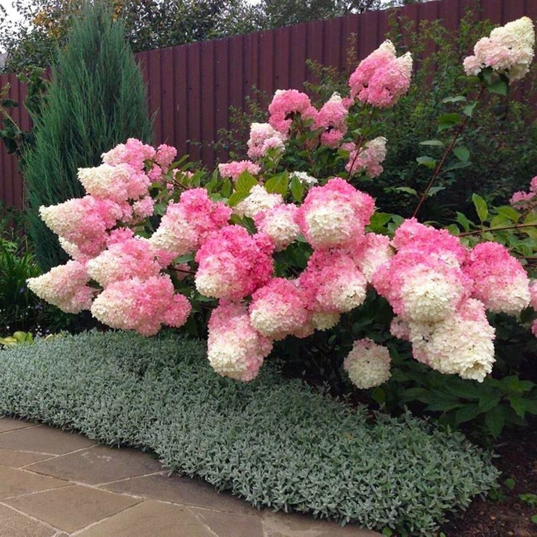 Надя привіталася і встала як укопана. А Валера запропонував їй присісти поруч із його бабусею! Була не менше здивована і Тетяна Василівна. Вона посміхнулася: — Який же світ тісний! Ось і велике місто! А кому доля зустрітися, то неодмінно буде зустріч, – уважна директорка одразу помітила в зачісці своєї молодої співробітниці гребінець. Надя вловила її погляд і густо почервоніла. — Сьогодні дивовижний день, – сказала Тетяна Василівна, – зʼявився на світ мій син, батько Валерочки. І ти до нас саме в цей день прийшла. Це добре