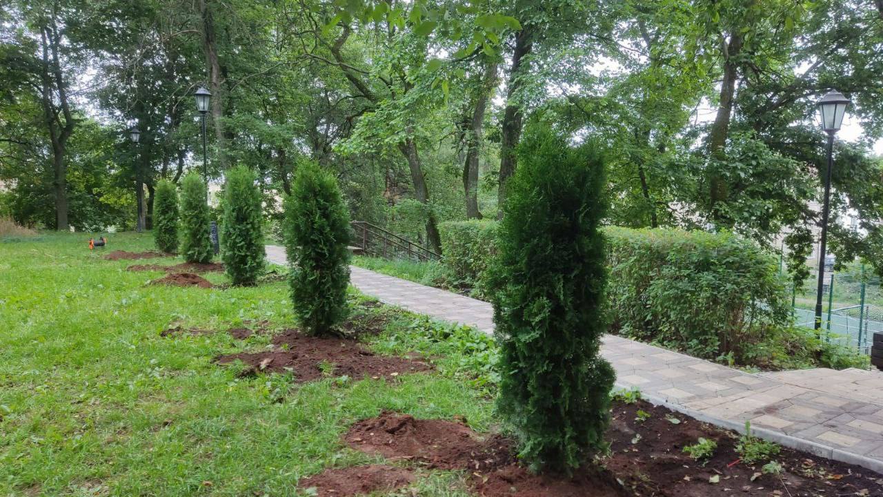 – Добре, донечко, але не довго, бо мені ж ще треба гостину готувати, – каже Валентина Петрівна