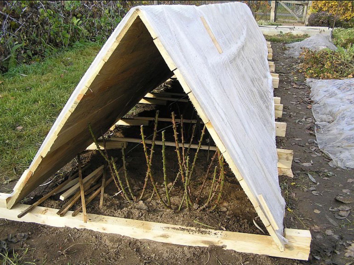 Мамо, я на це шоу-весілля не піду. По-перше, не маю в що вдітися, а по друге, це смішно. Тобі 56 років, татові за рік шістдесятка стукне. Ти ще скажи, що ти білу сукню одягнеш? Ну це ж смішно. Тридцять років жили без шлюбу, двох дітей на світ привели, а тепер, на старість літ надумали, що так жити не гоже, і весілля захотіли? – Ну всі ці роки ми не хотіли, а ось тепер прийшов час, коли ми цього обоє хочемо. А що тут поганого? – Та все погано, мамо. Родичі мого чоловіка вже сміються. Ти все село на ноги підняла своєю заявою. Скажи всім нарешті, що це жарт і заспокійся!, – скаpала я мамі
