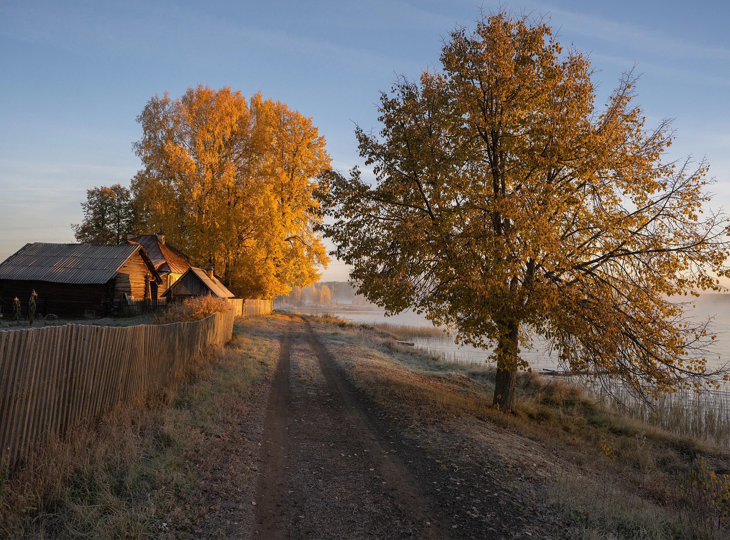 Ганна була на роботі, коли пролунав телефонний дзвінок. Жінка глянула на екран мобільного, і побачила, що дзвонить свекруха. – Доброго дня, Антоніна Петрівна! Щось сталося? – запитала Ганна, як тільки взяла слухавку. – Ганно, ти коли до мене зможеш прийти – у суботу чи в неділю? – запитала свекруха. – Та я наче не планувала до вас у гості…, – здивовано відповіла Ганна. – А що вам потрібно? – Як що?! Питаєш, так, наче сама не знаєш що! – обурено відповіла Антоніна Петрівна. – Я правда, не знаю…, – розгублено додала невістка, але Ганна навіть уявити не могла, що попросить свекруха.