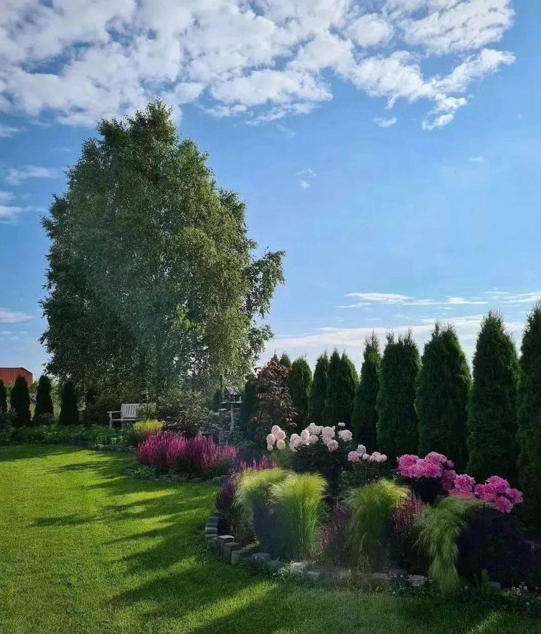 Зроду на таких гостинах не була і тепер не знаю, як відмовити сина від такого шлюбу! Це ж в таку родину потрапить, що ой-леле, все життя на таких недохарчах сидіти буде, якими нас частували свати майбутні! Все зроблю, щоб син передумав.