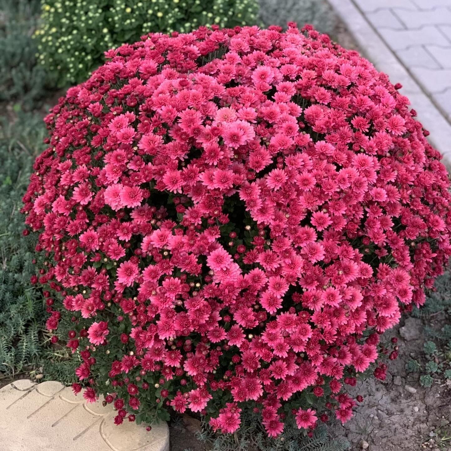 Олена йшла з роботи додому. Підійшовши до будинку, жінка раптом побачила машину свого чоловіка Олексія. – Цікаво, і чого це він так рано вдома? – подумала вона. – Зазвичай раніше восьмої ж не буває… Олена відкрила двері своїм ключем і зайшла в кімнату. Чоловік спав на дивані, відвернувшись до стіни. – Ну, нічого собі! – знову подумки здивувалася Олена. – Дивина та й годі сьогодні. Зовсім на Олексія не схоже… Вирішивши не будити чоловіка, жінка перевдягнулася й пішла готувати вечерю. Коли все було готове, Олена зайшла обережно торкнулася Олексія за плече. – Агов, годі спати! – посміхнулася вона. – Вечеряти пора… Олена глянула на чоловіка й остовпіла.