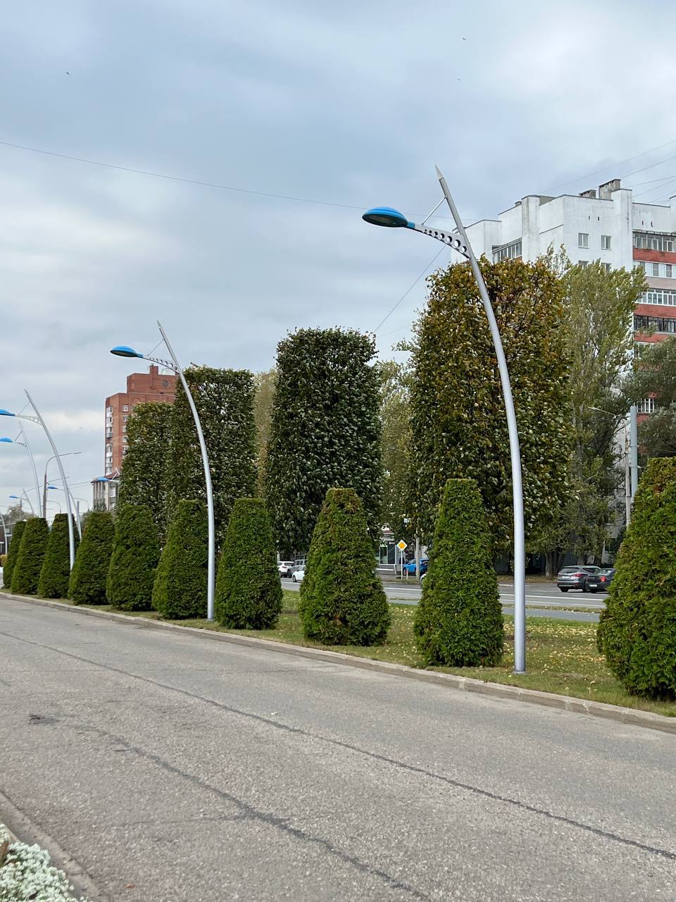 — Ось саме, в місті працює, і в село не збирається. І Андрюху нашого, як теличка, поведе за собою, не приведи Господь. А Надія Іванівна прижилася тут, подобається їй сільське життя, калоші днями купувала в магазині, сам бачив. Вона господині, в якої орендує будинок, Галині, грядок накопала і квітів насадила в палісаднику, та натішитися не може