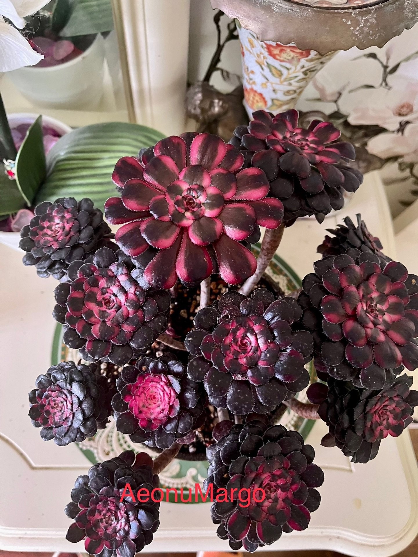 І я рада, що ви мене не прийняли, спасибі вам, ви мені відкрили очі на майбутнього чоловіка, тепер уже не чоловіка. Здавалося б, мені треба ображатися, а я радію