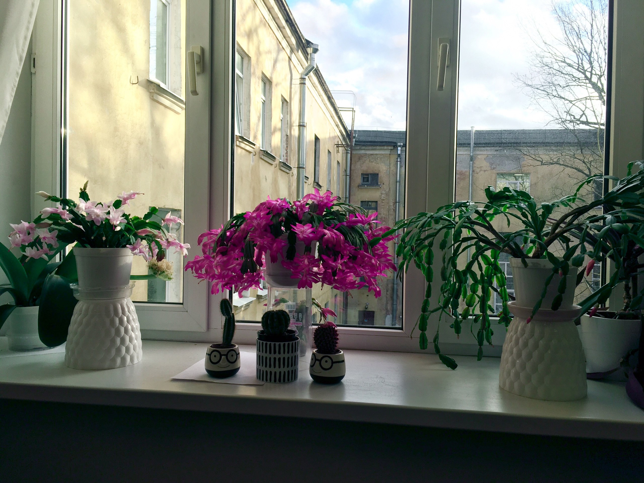 – Все, годі, ніякого тут весілля не буде! – Це мій дім, а не філія весільної агенції! – Сказала Тамара