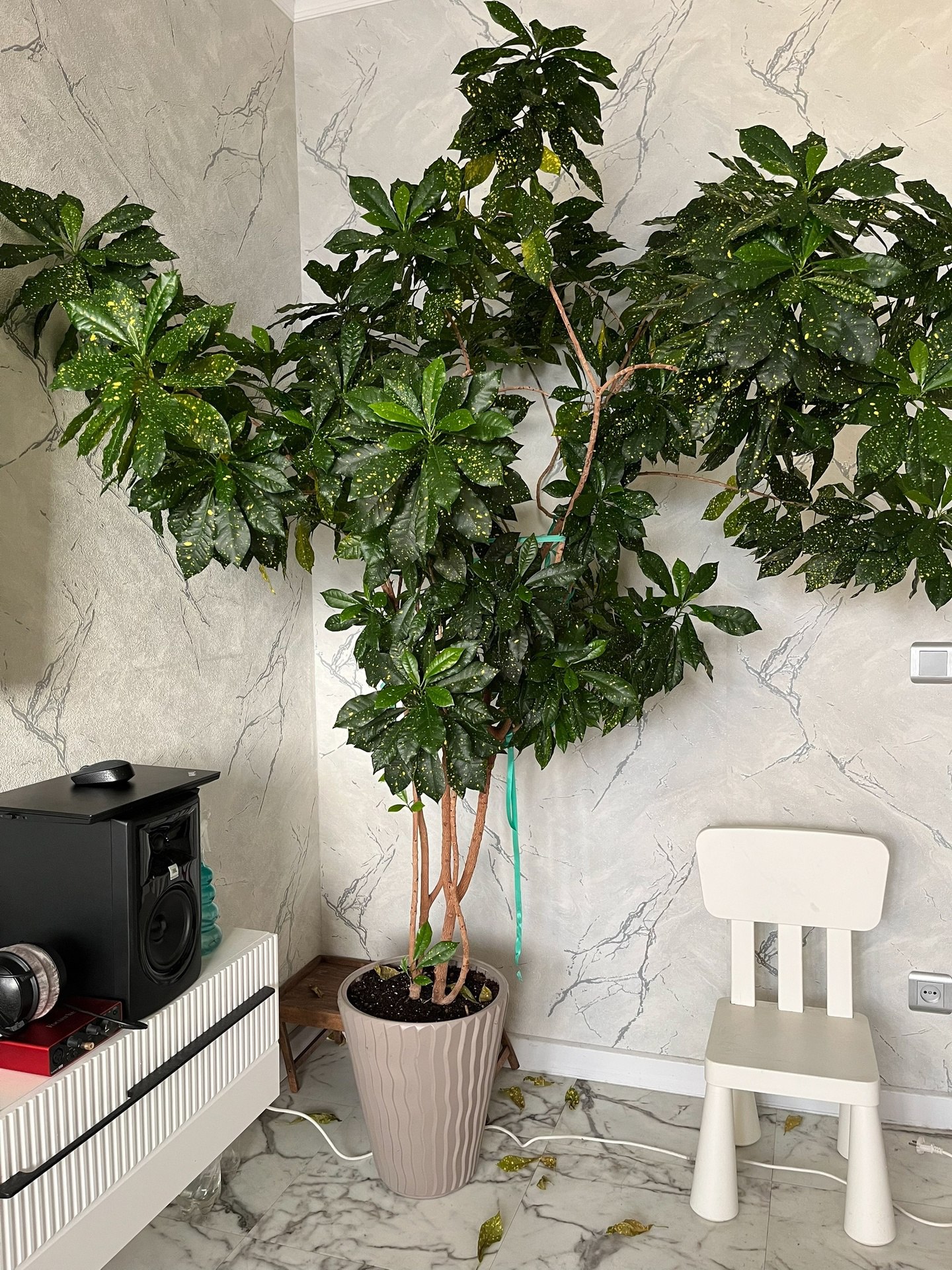 Юрій злився на дружину від того, що не міг приступити до головного, гордо і твердо сказати, що він її кидає, що йде до іншої