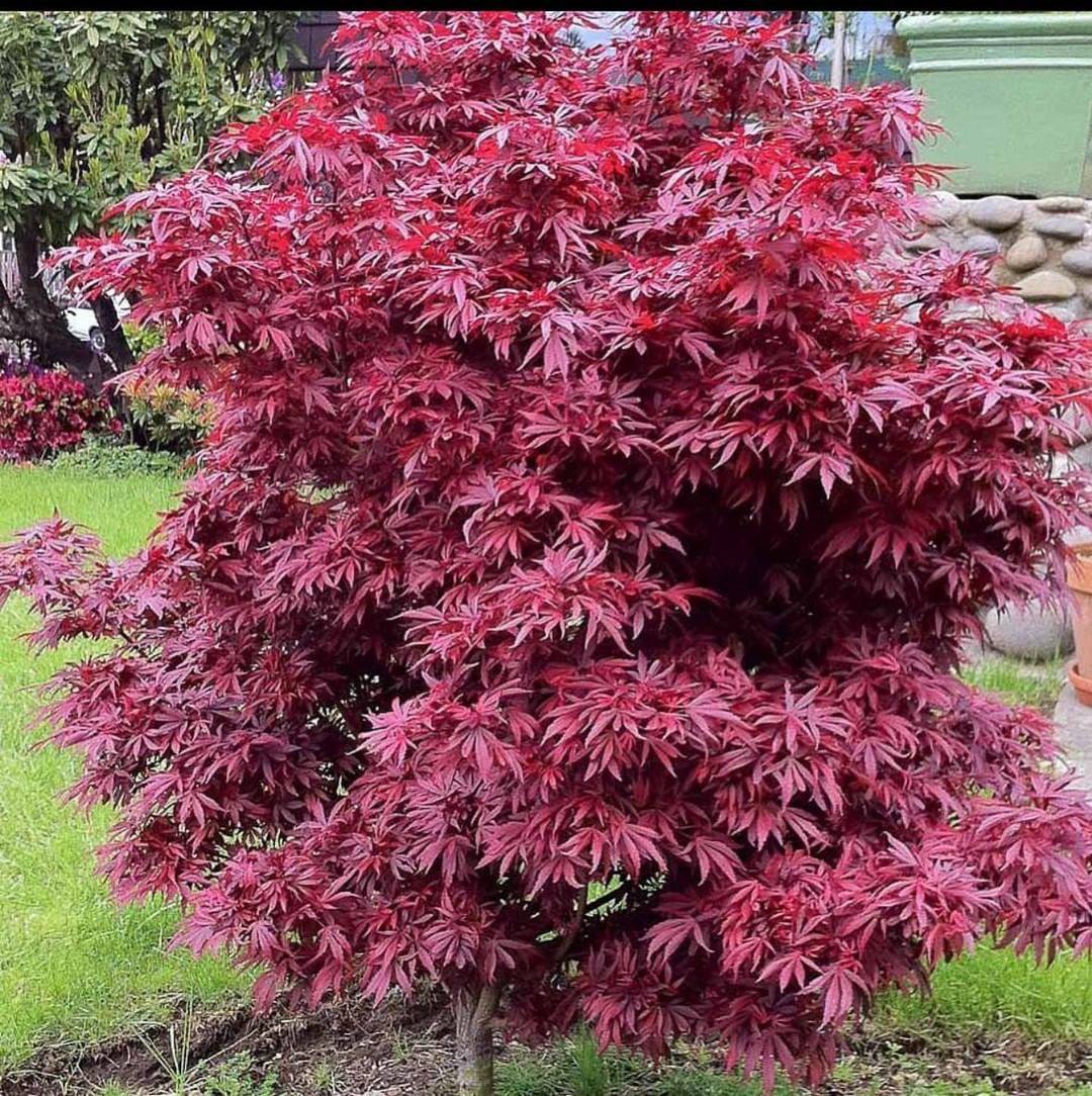 Сестра з міста надіслала нам в село поштою велику коробку перев’язану скотчем. Я ж до останнього надіялася, що це подарунок племіннику на день народження. Відкривши дома я побачила пару вицвілих чоловічих футболок, дві сукні з противним запахом парфумів і багато дитячого одягу. Так, одяг на сина, але він ношений і зашморганий до дірок. Але ізюминкою всьому було те, що посилку вона не оплатила. Я не стримала і висказала все Наталі телефоном