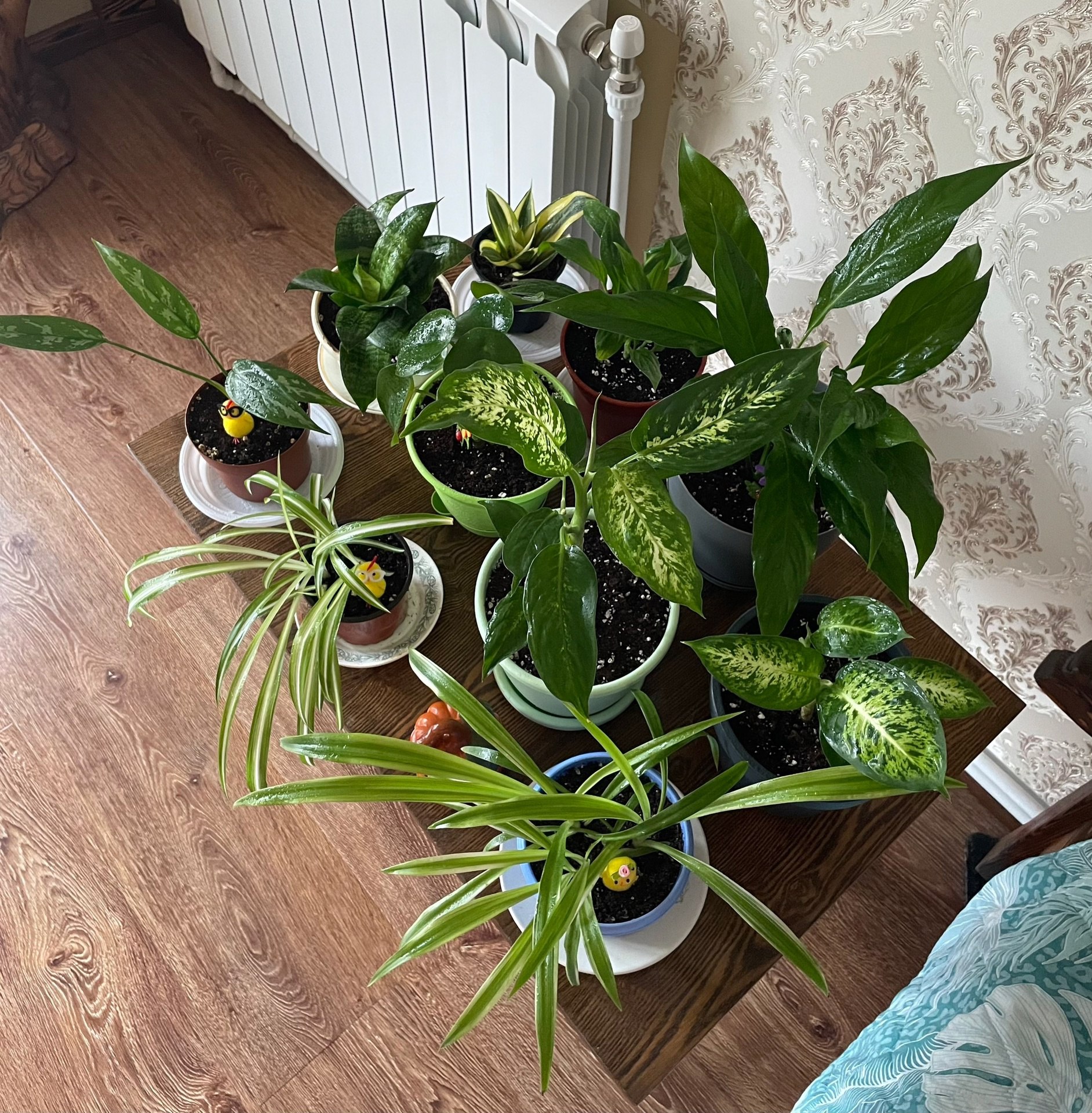 — Може, поговоримо з Антоном утрьох? — запропонувала Христина, явно не збираючись відступати. — Я впевнена, ми знайдемо компроміс. Може, ми навіть скинемося на оренду більшої квартири, га? Лесі стало зле. Типова тактика Христини — спочатку попросити прихистити на кілька днів, а потім висунути ідею жити разом на постійній основі. Ні вже.