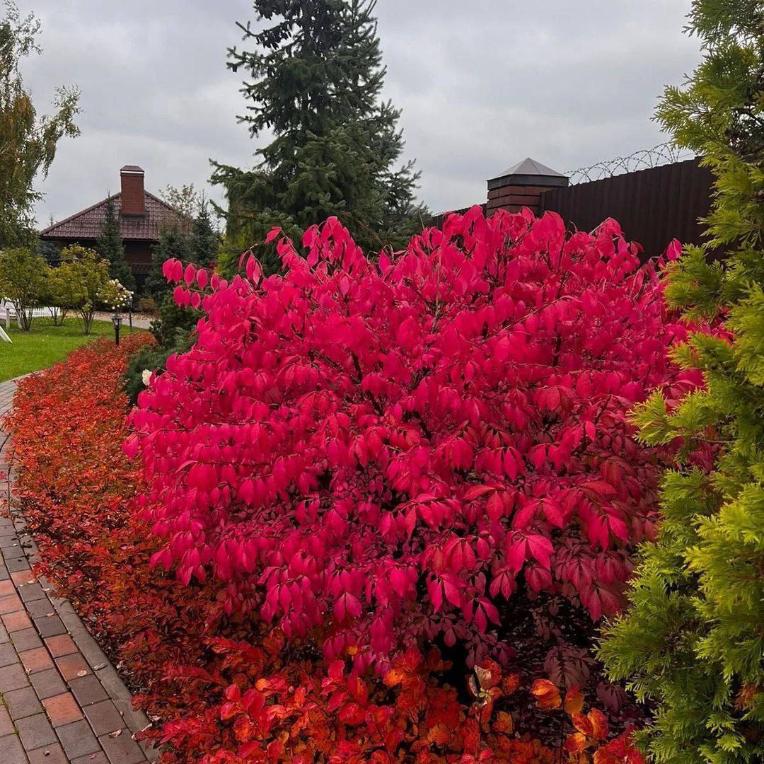 У Лізи не стало бабусі Тамари. Пройшли поминки. Люди розійшлися. Ліза взялася прибирати в хаті. Посуду виявилося багато – тридцять чоловік прийшло згадати бабусю Тамару. Ліза хотіла зробити поминки в кафе, але воно виявилося зайнятим – там готувалися до весілля. От життя – у когось поминки, а в когось весілля… Люди розійшлися, Ліза залишилася сама. Ніхто не запропонував допомогти з прибиранням окрім сусідки Олени. Ліза сказала, що все зробить сама… Вона впорається, адже справлялася зі слабою бабусею. Дівчина домила підлогу, вилила воду, потім набрала ванну. Після всього треба було відійти… Ліза вийшла з ванни, як раптом почула з подвірʼя якісь звуки…