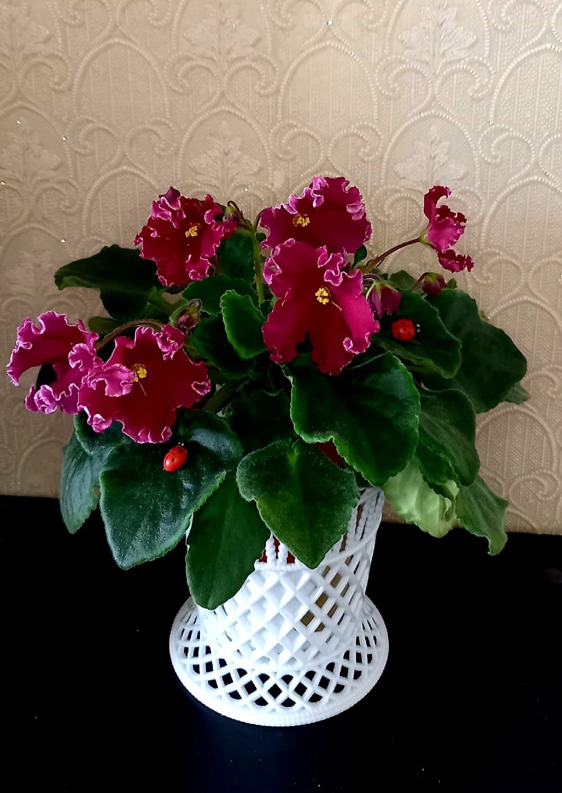 Мамо, а де тато живе тепер? – У чужої тьоті. Бо тато нашого дому не хотів. – А ти його любила? – Любила. Але він помилився. Миколі було 57, коли він зібрав валізу і вийшов з власного будинку. Не грюкнув дверима. Не крикнув. Не озирнувся. Просто вийшов. За тридцять років шлюбу він навчився мовчати. Терпіти. Будувати. Забезпечувати. Дарувати. І все – для неї. Для Зої, яка так нічого і не оцінила