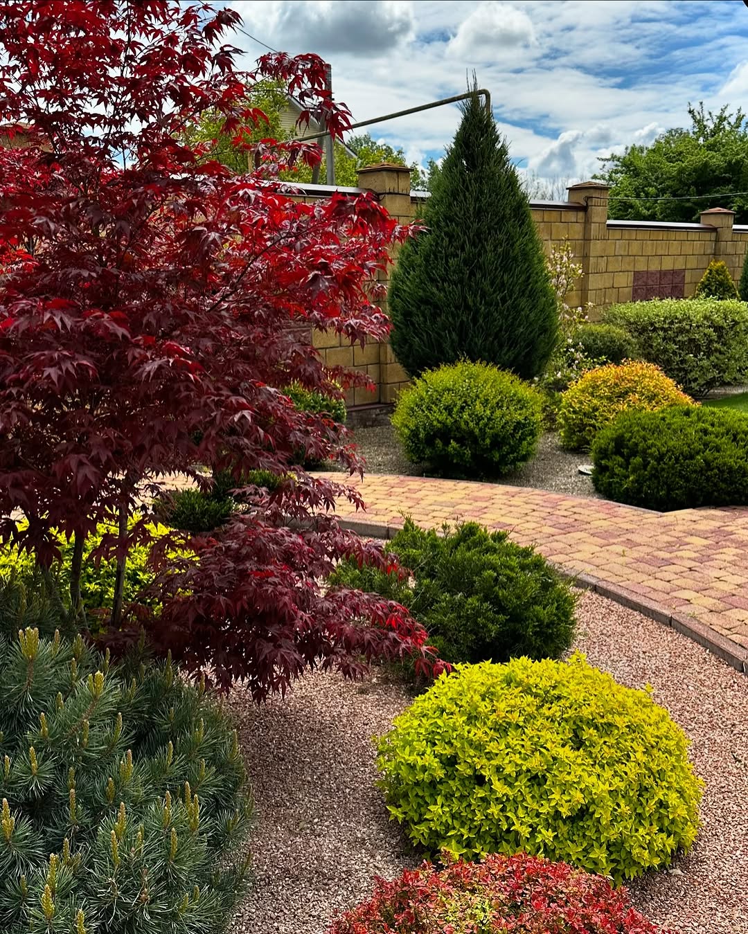 — Мамі скажемо, що це порода така,… Кусюча, — спробував пожартувати чоловік