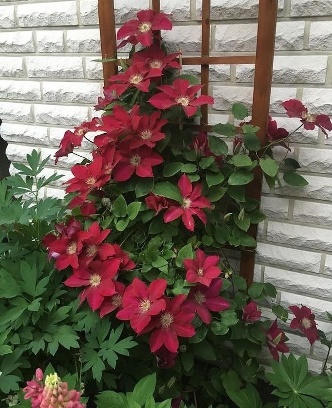 – Ні! Досить уже!Протягом усього свого життя ви приділяли більше уваги Оксані, але це були ваші гроші, і я не могла вирішувати за вас