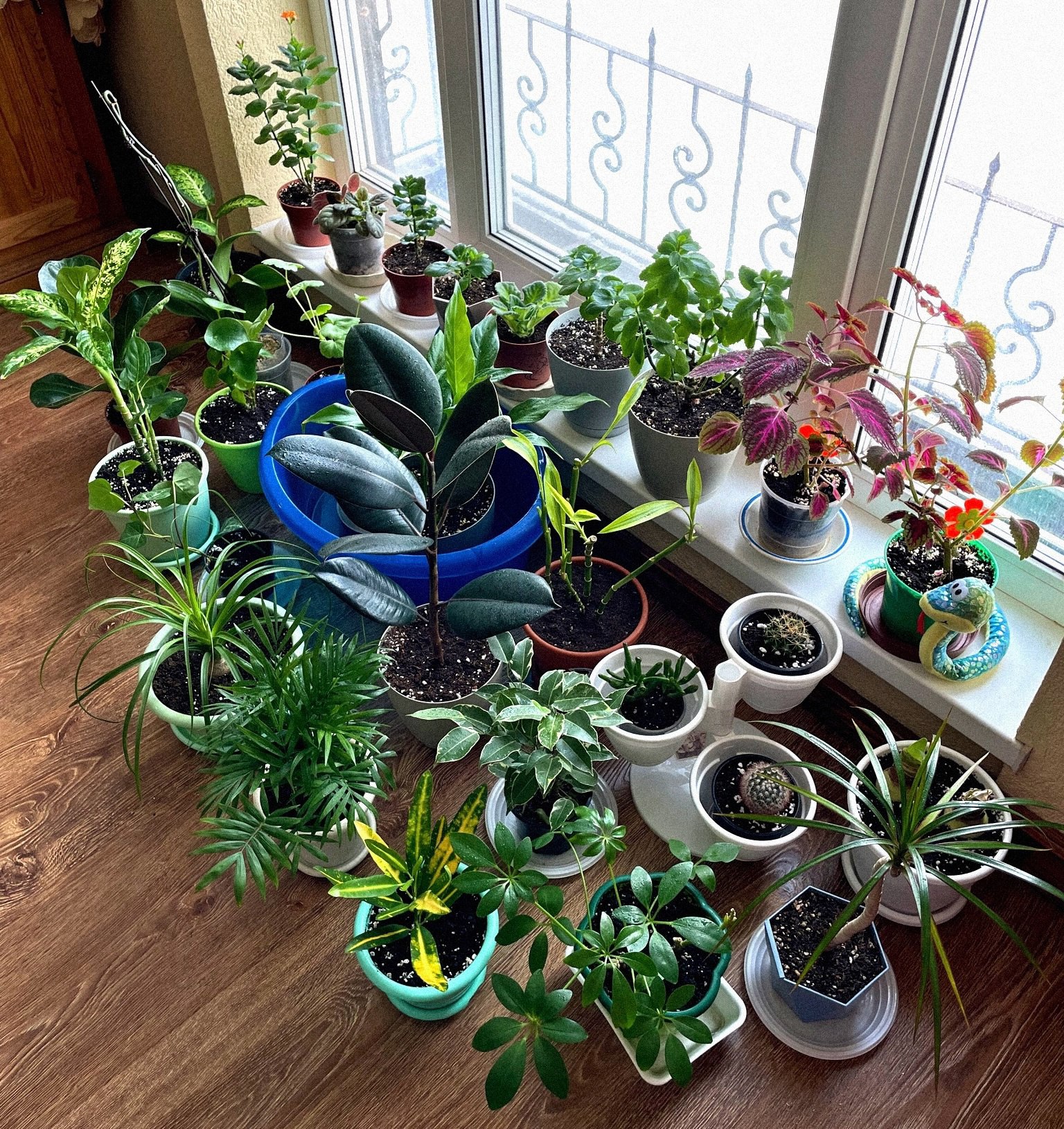 Бідний – не бідний. Гроші все одно чужі і треба повернути. Номер телефону є