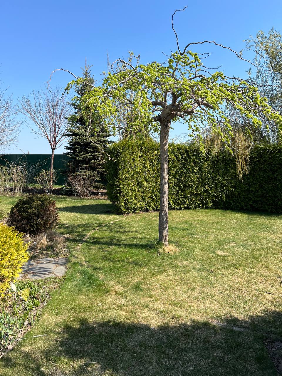 – О, а от і твоя приїхала! Справді, таксі. Хоча на таксі це не дуже схоже. Он, водила вийшов, відчинив двері, допоміг вибратися з машини твоїй Насті. До під’їзду веде…