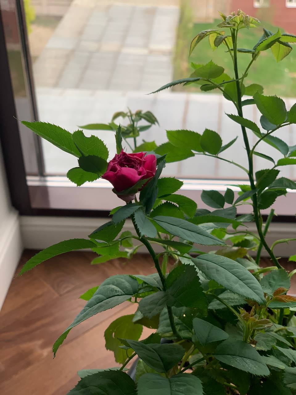 — Куди мікрохвильовку подів? — У Таньки згоріла, тато сказав віддати їй нашу, – безтурботно пояснив чоловік. — Навіщо?! – тільки й змогла запитати Іра. — Нова коштує дорого, у Таньки грошей не вистачило. Собі потім іншу купимо. Ір, ну не злись, знаєш же, що Таньці в декреті важко, а так хоч їжу зможе розігрівати без проблем. Іра вискочила з кімнати, від душі грюкнувши дверима. Втрата старої мікрохвильовки її чомусь зачепила так само сильно, як втрата грошей