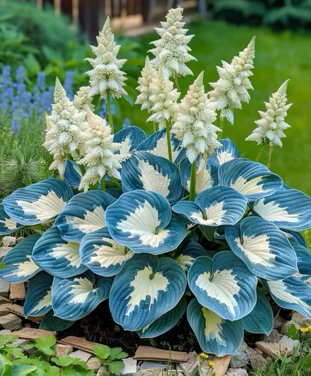 Віра була на цвинтарі. Вона ховала свого чоловіка Олександра… Раптом, звідкись збоку, до Віри підійшла якась незнайома жінка. Це сталося в той момент, коли вже все закінчилося, і родичі й близькі покійного поверталася до автобуса. Той мав відвести всіх у кафе на поминки… – Прийміть мої найщиріші співчуття, – тихо сказала незнайомка Вірі, й скорботно опустила очі. – І ще одне… Прошу вас… Навіть, благаю! Вибачте мені за все! – Що-о-о? – Віра не розуміла про що та говорить.