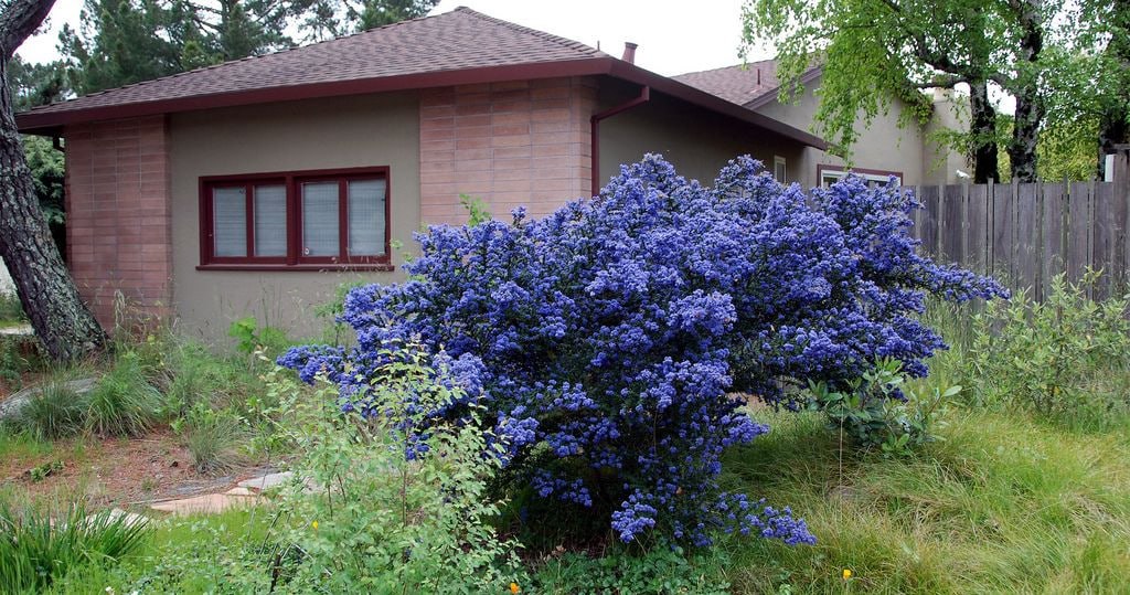Марина чула, як грюкнули двері за подругою свекрухи. А потім і вона сама намалювалася в кімнаті. «Чула все, так?» – кивнула вона на напів зібрані речі, – виправдовуватися не буду, як говорила, так і думаю. Якщо любиш Костика, то пожалій його. Ну навіщо ти йому така? Йому потрібна така, щоб не соромно було людям показати. Та й дітей йому треба, а яка з тебе мати?» Ось тут Марина плакати не стала. Не змогла просто. Закостеніла вся. Швидко дозбирала речі й кулею вилетіла з квартири. Навіть двері за собою не зачинила