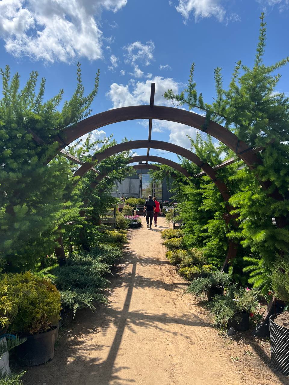 – Ну, все гаразд, чого плачеш. Хороший хлопець у тебе такий, міцний. Доньку хотіла, мабуть? Нічого, прийдеш потім і за донькою. – Я залишу його… Не забиратиму.