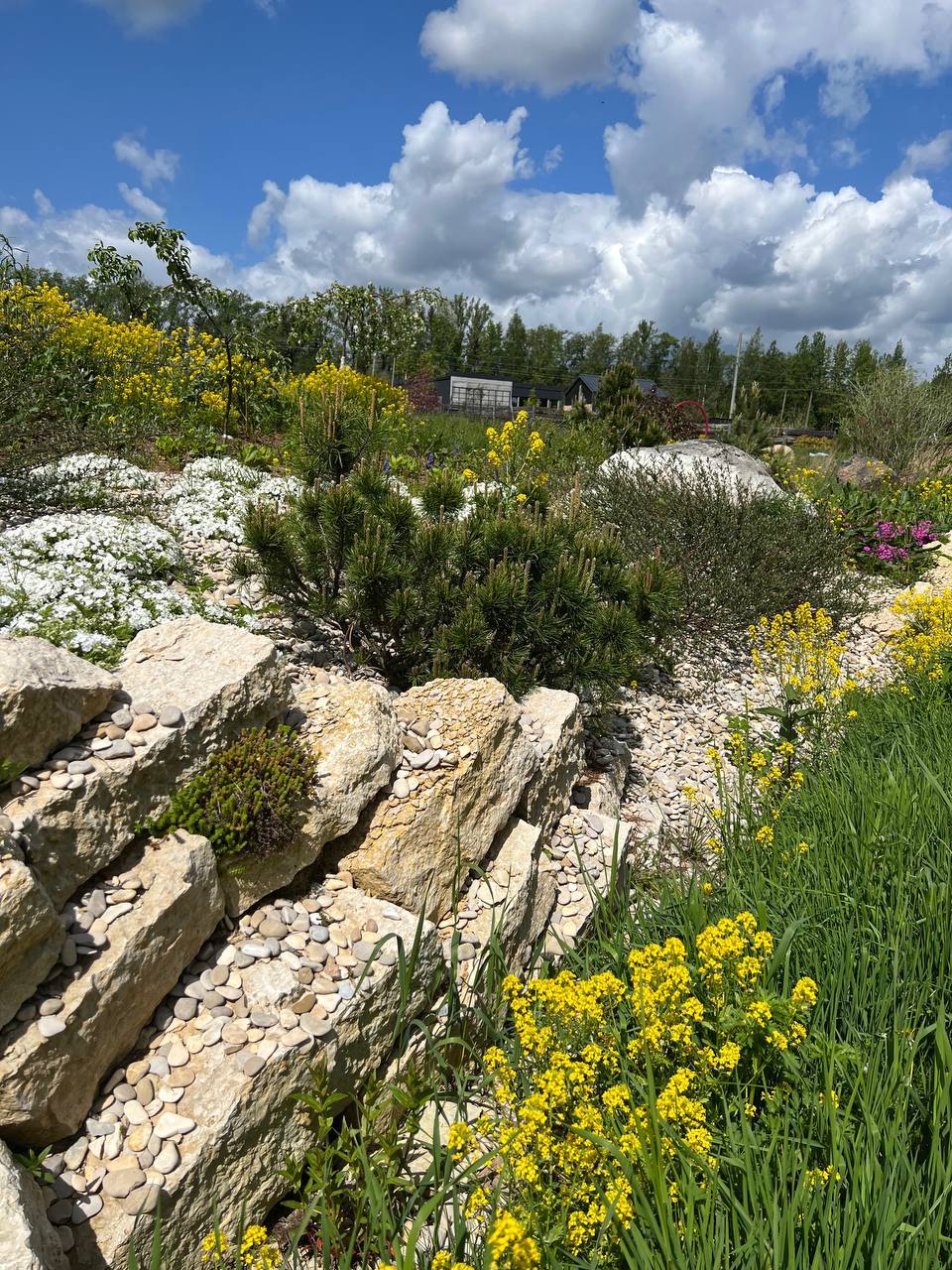 — Важко буде Антону з такою тещею, – сказала мама мого чоловіка, – та й тобі не солодко доведеться. Якщо що – просіть допомоги, ми вас не залишимо. Антон у столиці свого житла не мав, винаймав квартиру, тому було вирішено, що я просто перевезу свої речі до нього. Коли мама почула, що я переїжджаю до чоловіка, то вона закотила істерику. — Я все втратила, – кричала вона, – тепер і єдина дитина, що залишилася, мене кидає