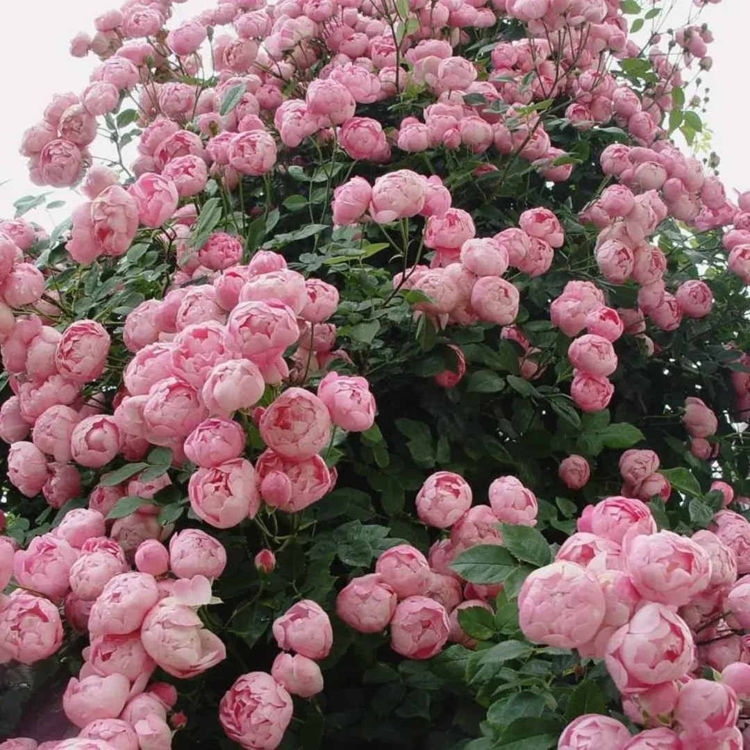 – Тобто, заощадивши на них місяць тому, ти вирішила розтринькати всі гроші зараз? – сердито подивився на неї Анатолій