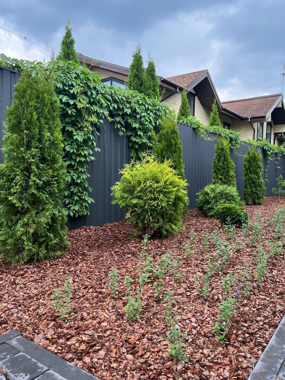 Юра набирав номер матері знову і знову, але йому відповідали холодно, незмінно: «Номер більше не обслуговується.» Він не дзвонив їй два роки. Дружина поставила перед вибором – вона чи мама. І він вибрав дружину