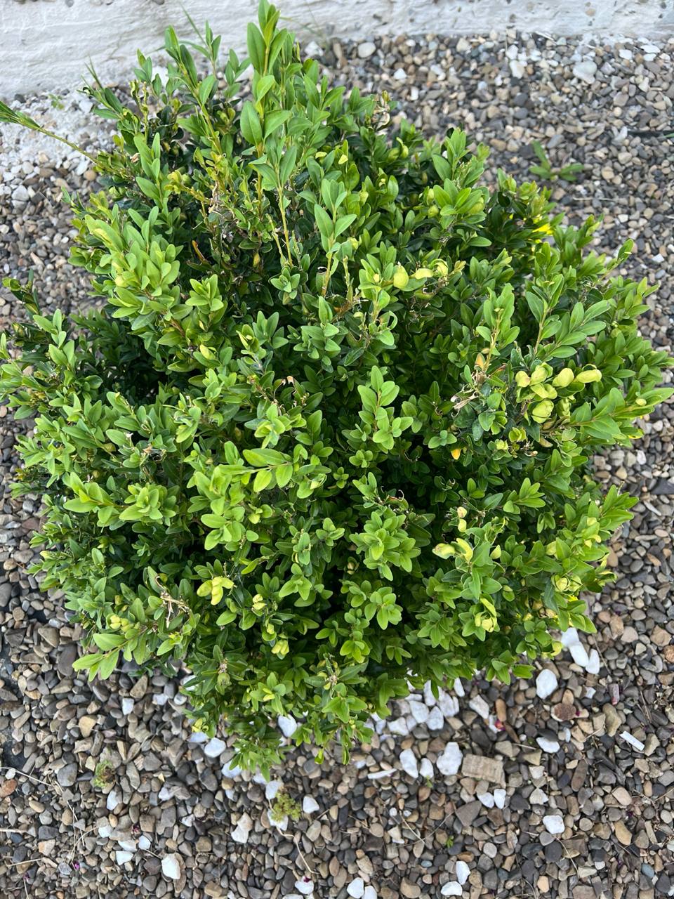 Він тут давно не живе! І який сенс йому тут зберігати гроші? А в сейфі я зберігала свої гроші