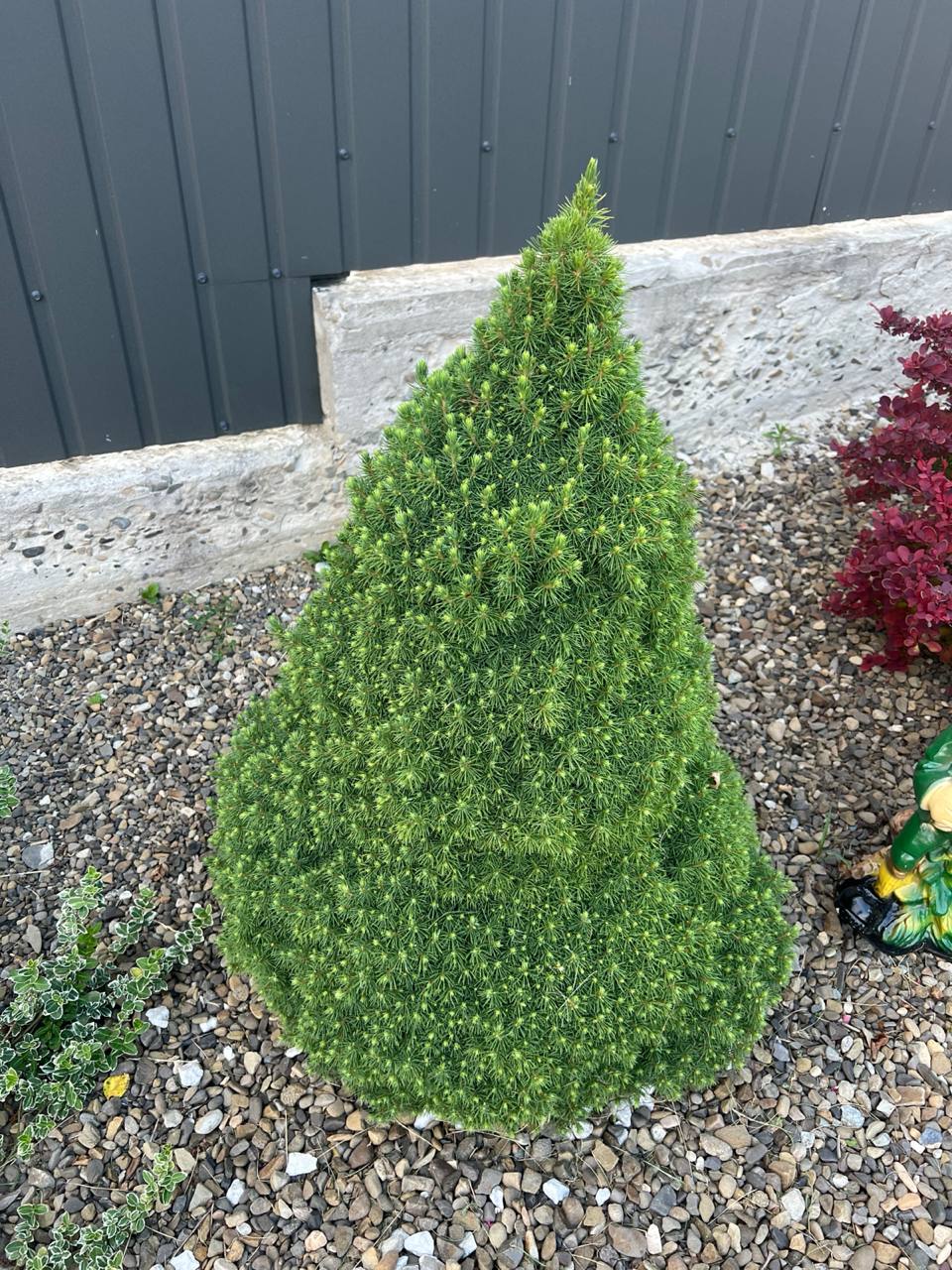 Мамо, не зрозумів. А де гроші? – відразу зателефонував мені син в Італію. – У тітки Зіни, – спокійно кажу. – В якої ще тітки Зіни? – перепитав спантеличено син. – У тієї, що за твоєю бабусею доглядає, – пояснюю. Син не зрозумів, образився. Але мені вже байдуже, бо більше нічого я йому давати не збираюся. Він і так від мене забагато отримав, а коли треба було допомогти – то відмовився