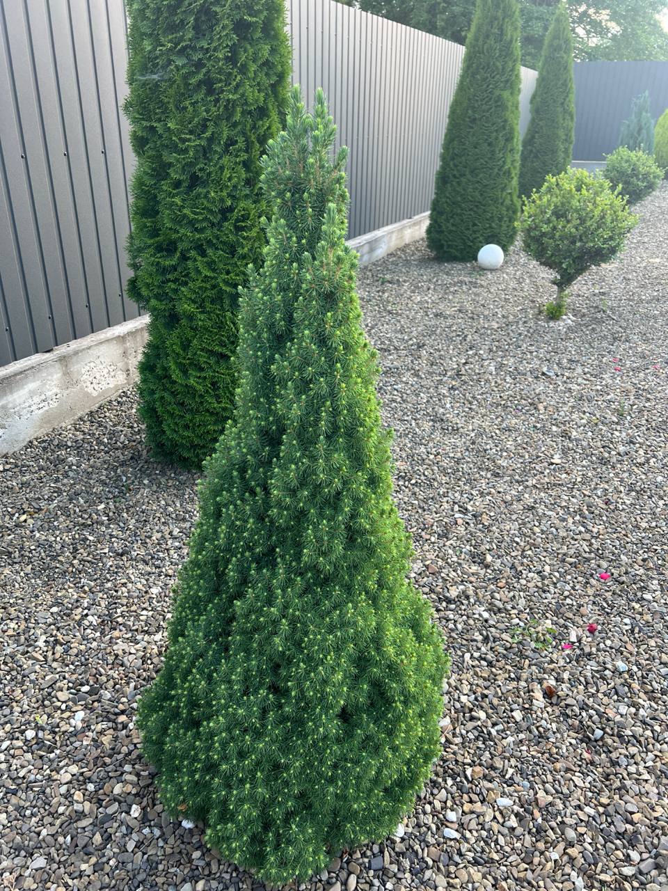 – І куди мені тепер? – Розгублено запитала мати